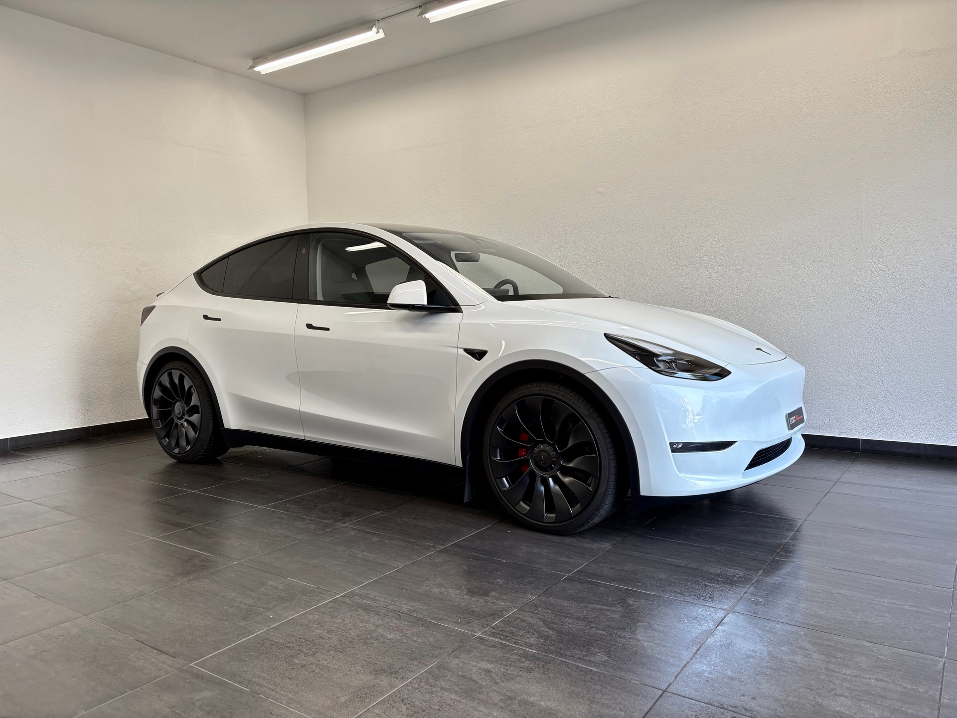 TESLA Model Y Performance