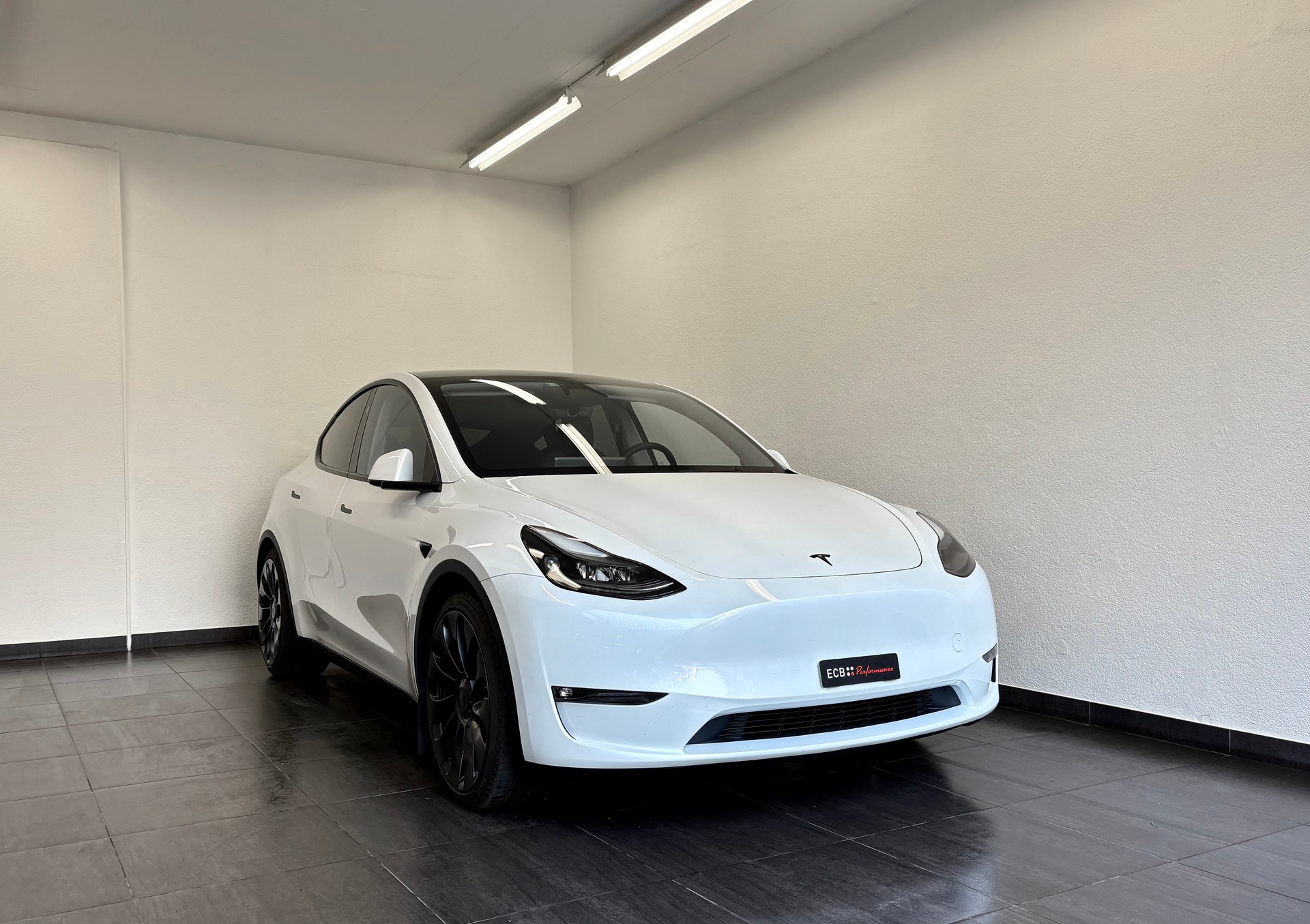 TESLA Model Y Performance-showroom-element-1