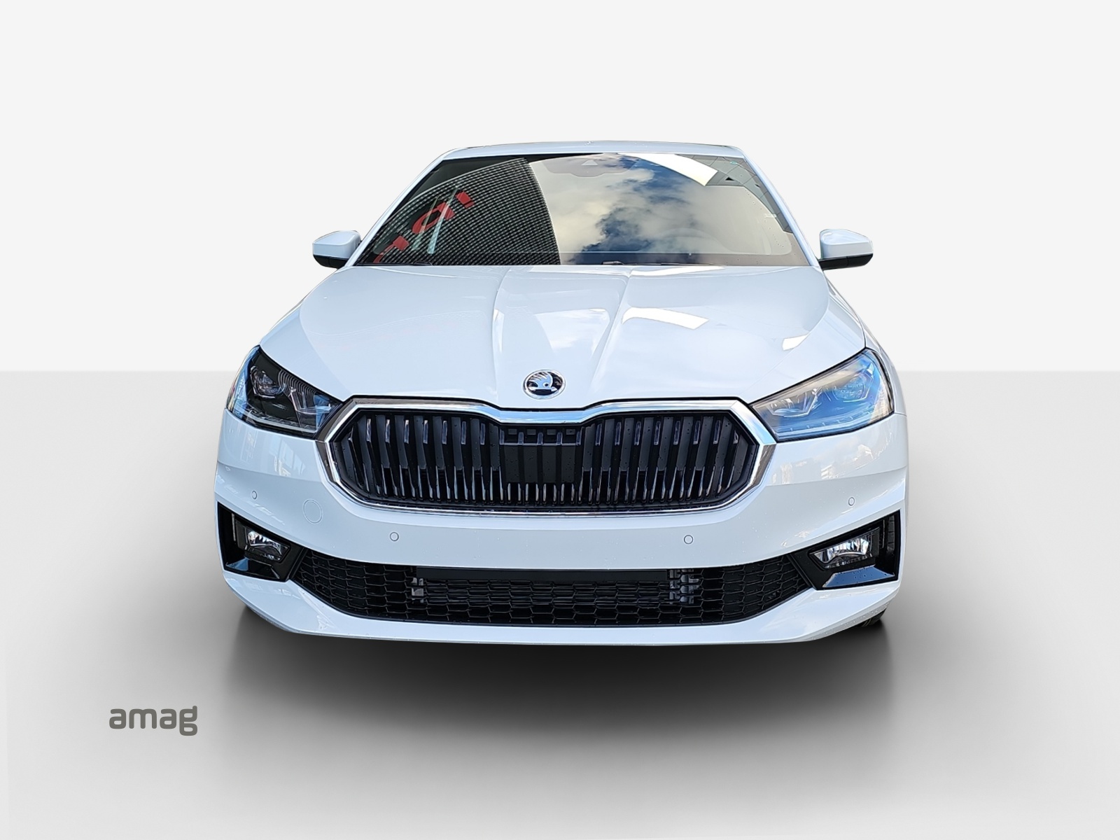 SKODA Fabia 1.5 TSI Dynamic DSG-image-6