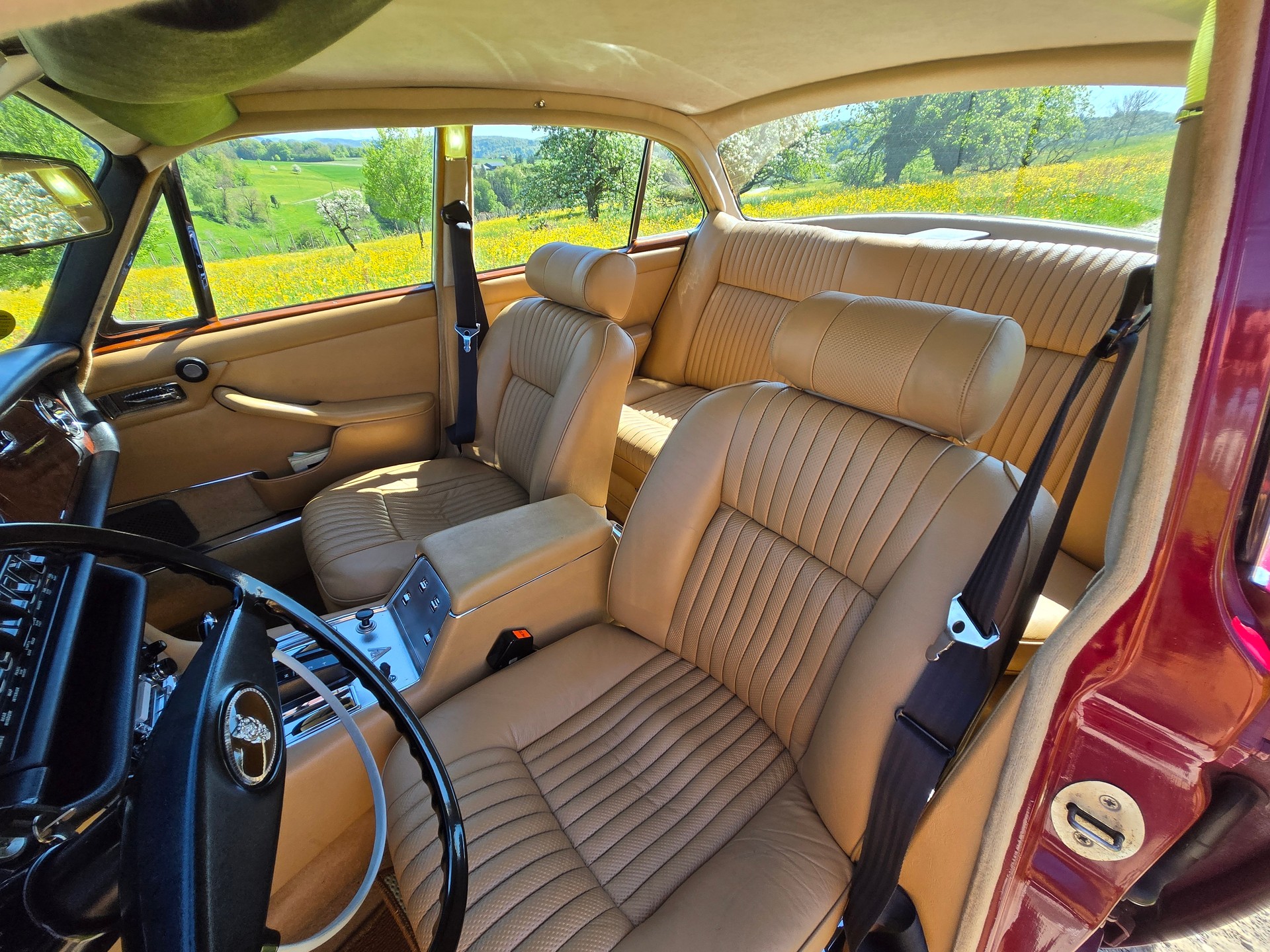 JAGUAR XJ12 Serie 1-image-4