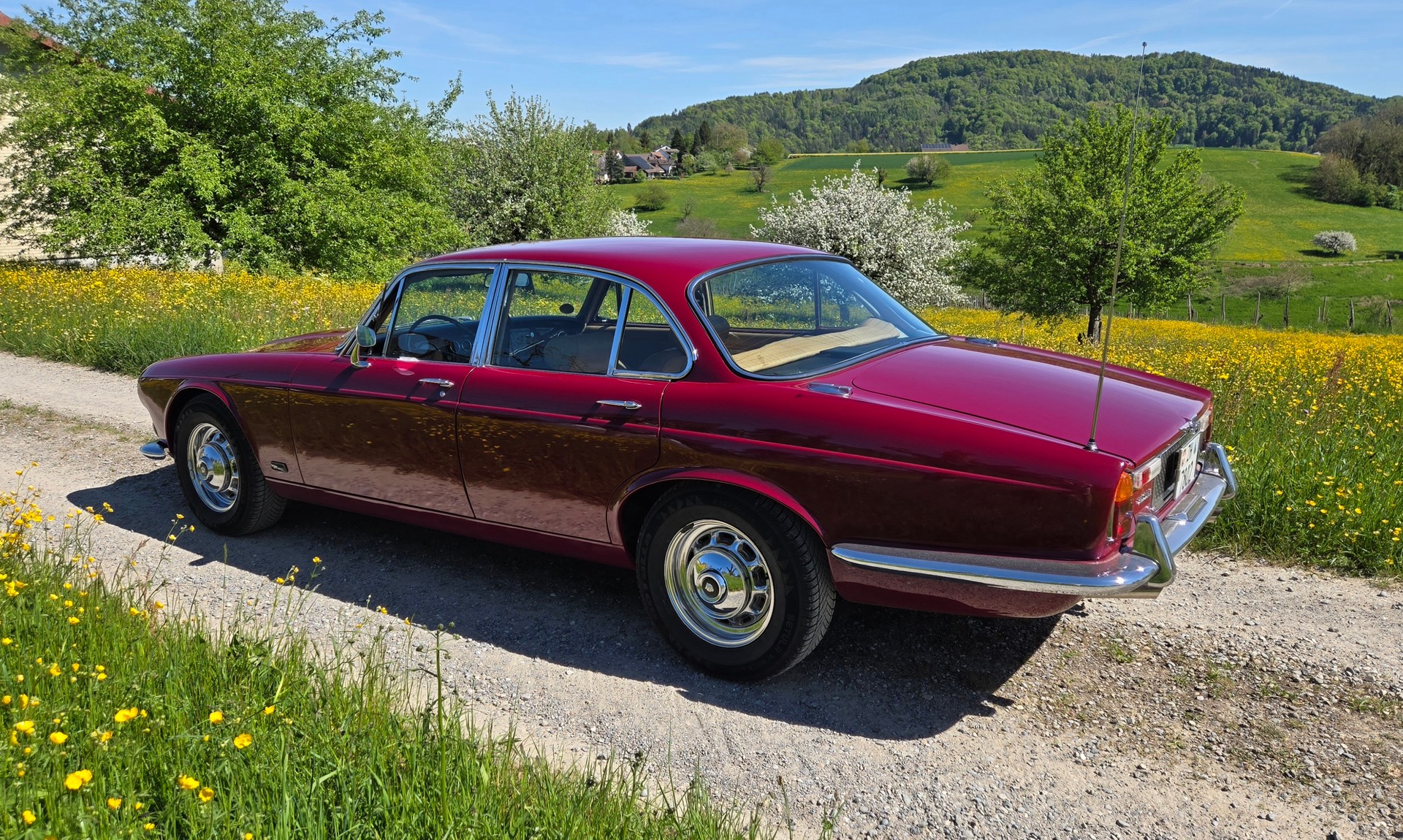 JAGUAR XJ12 Serie 1-image-1