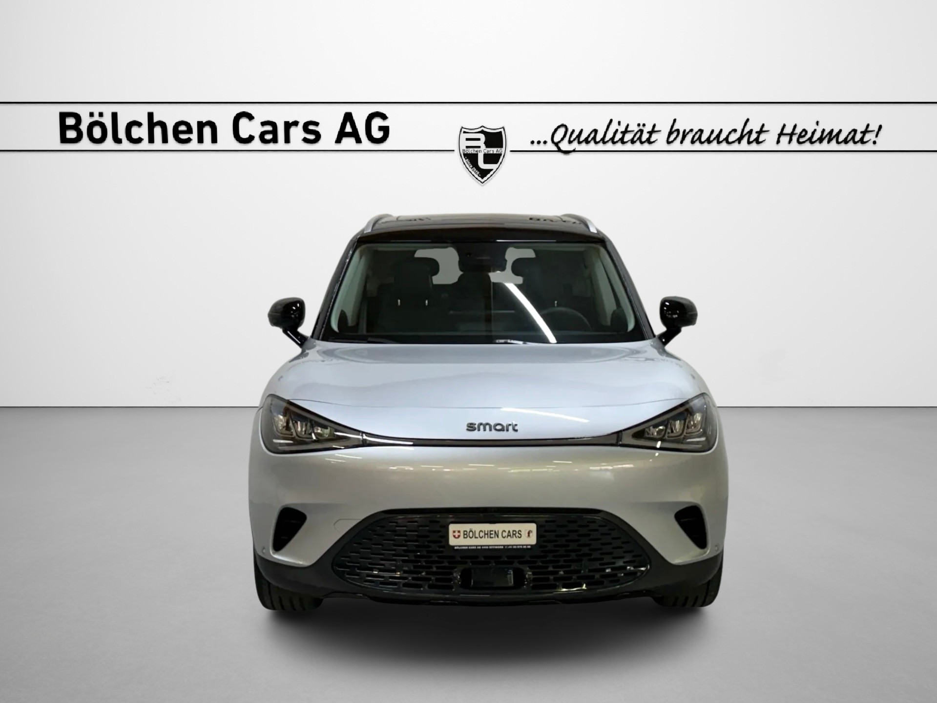 SMART #1 66kWh Pro+-showroom-element-1