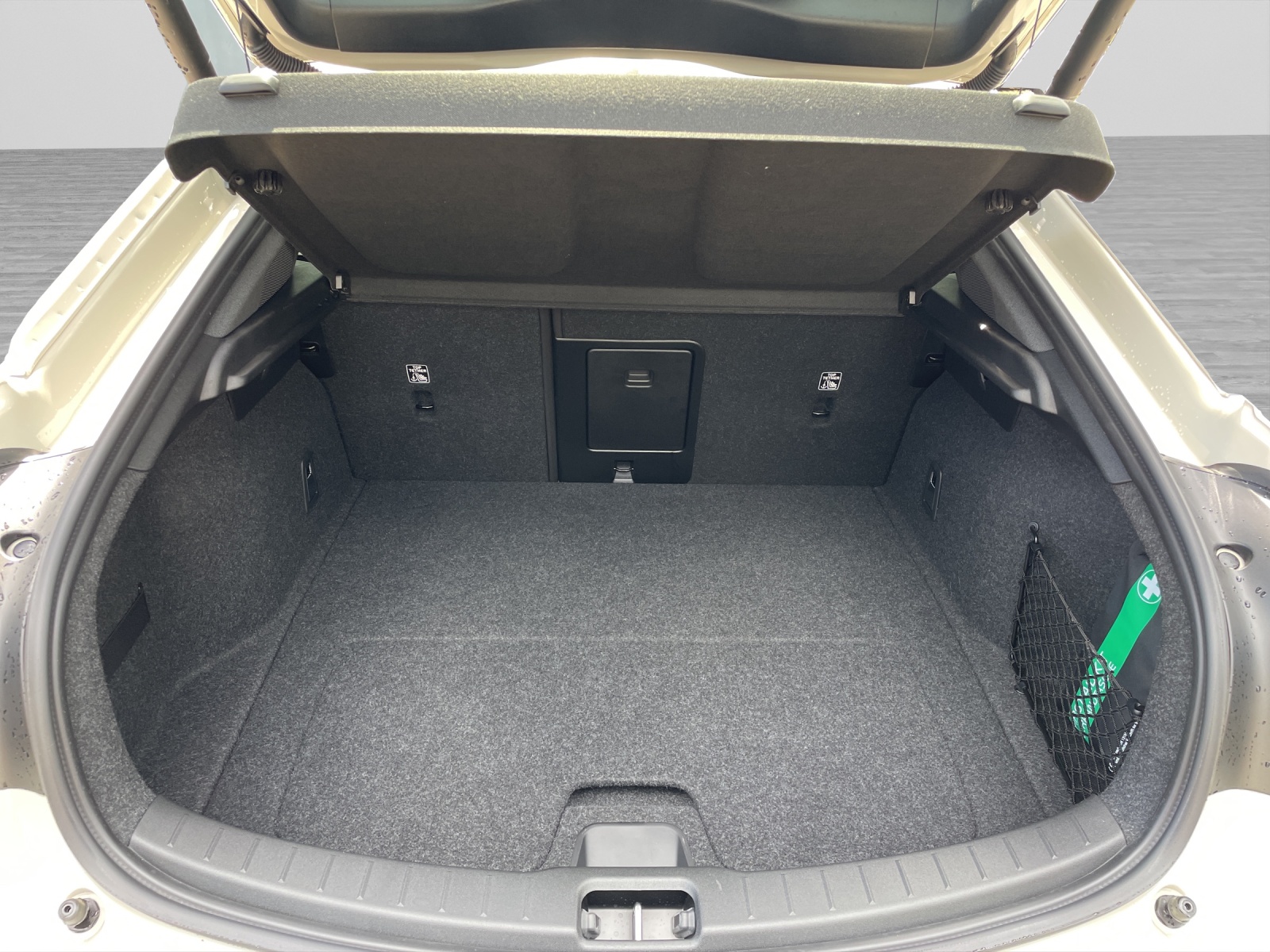POLESTAR 2 Long Range Dual Motor Performance Plus-image-14