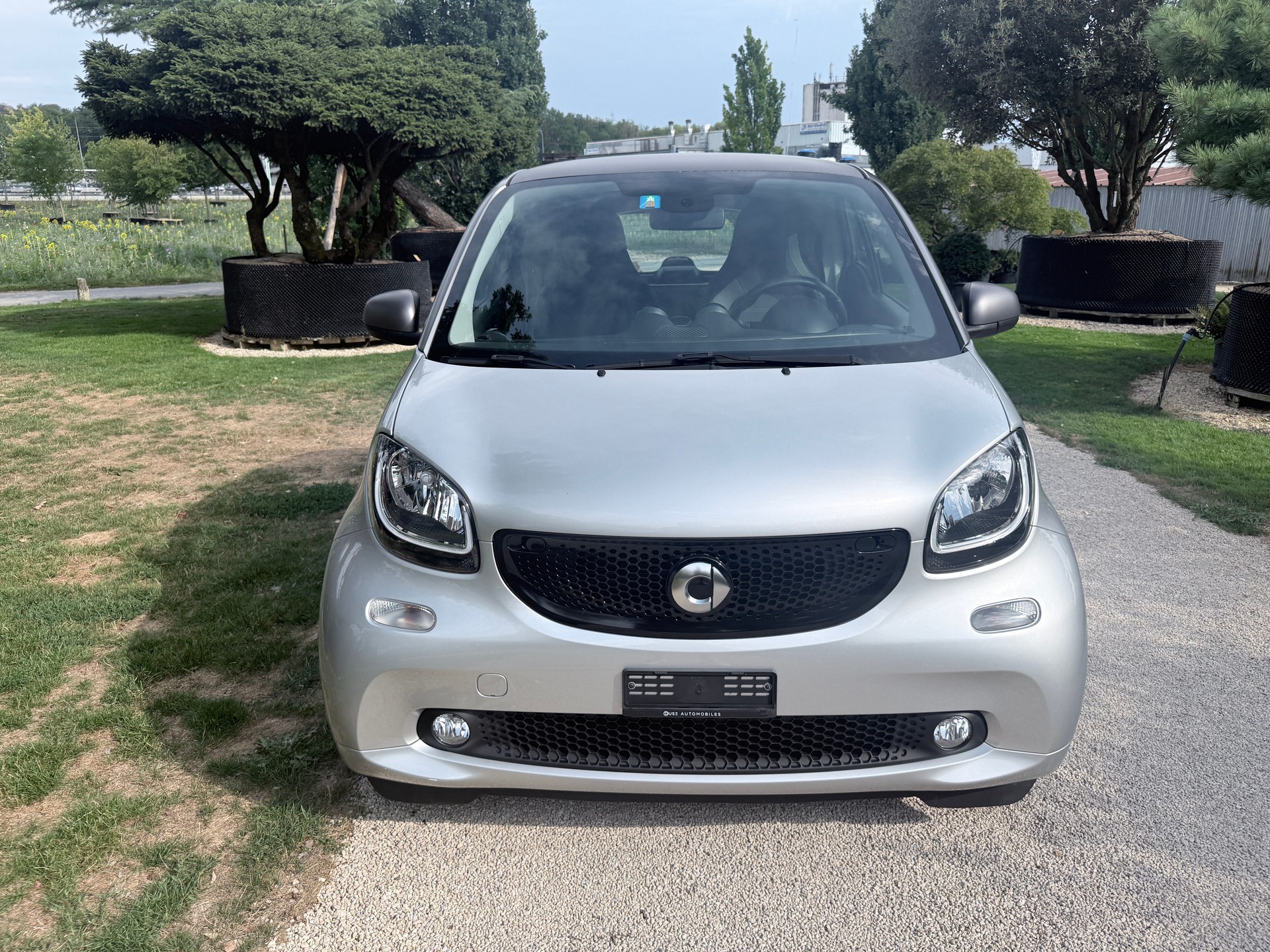 SMART fortwo prime twinmatic-image-1