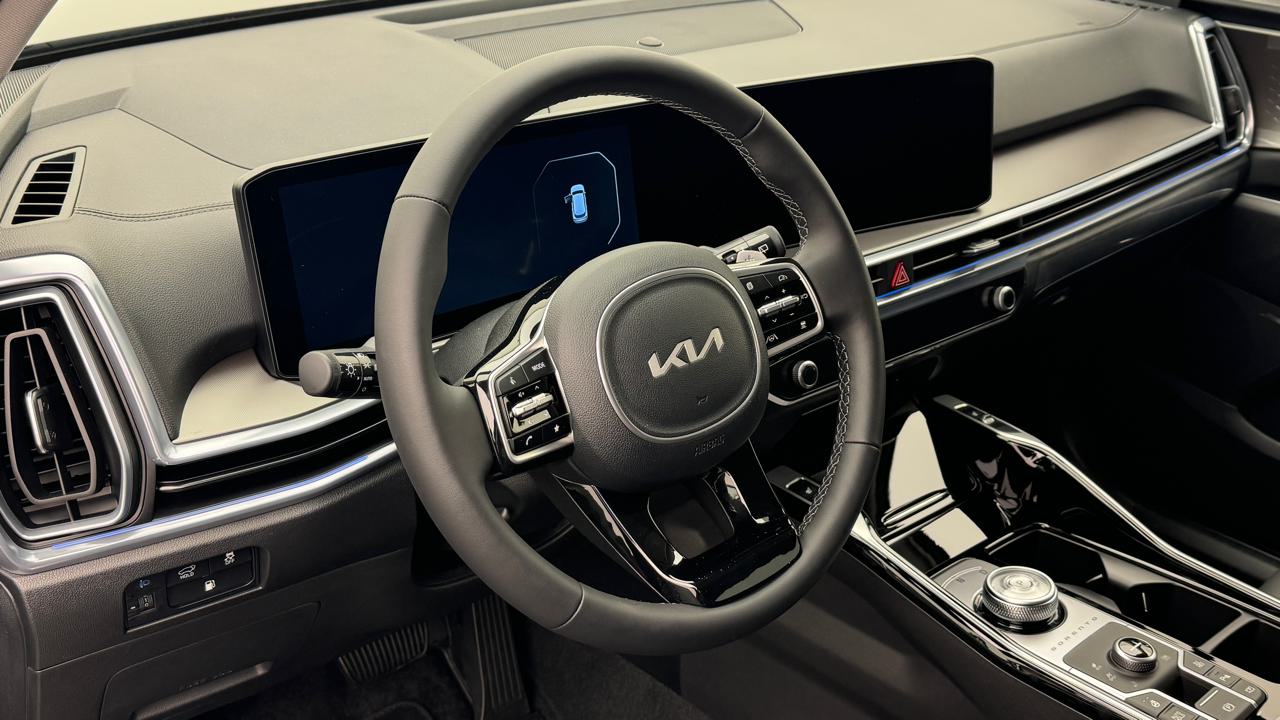 KIA Sorento 1.6 T-GDi PHEV 7P Limited-image-6