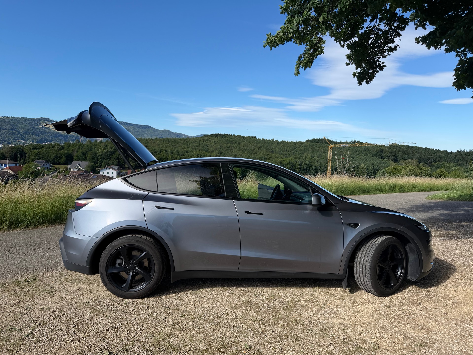 TESLA Model Y Long Range AWD-image-7