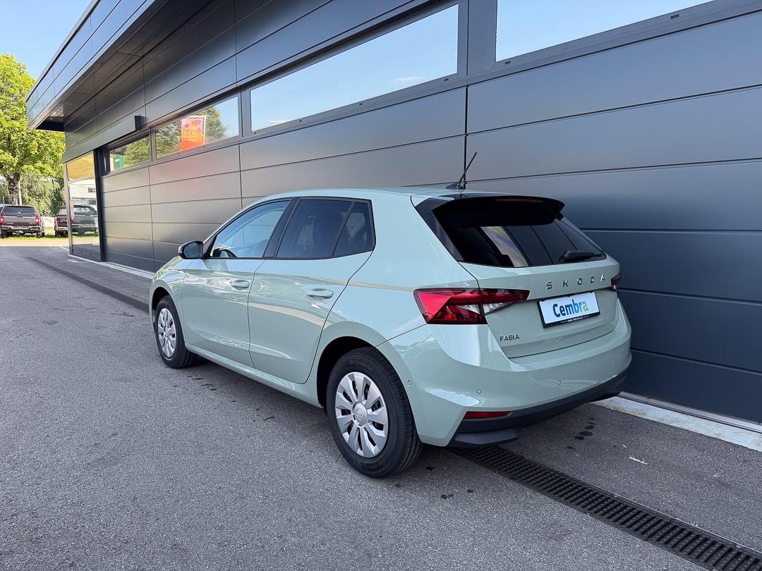 SKODA Fabia 1.0 TSI Selection DSG-image-2