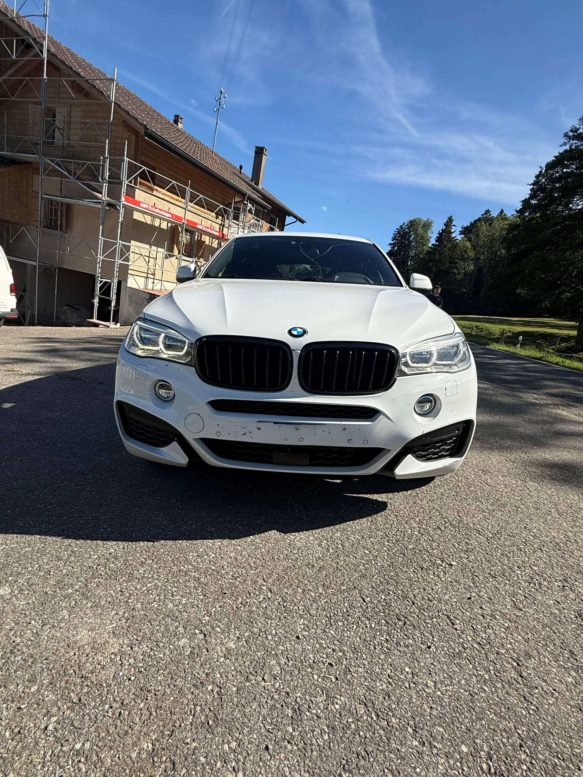 BMW X6 xDrive 30d Steptronic-image-9