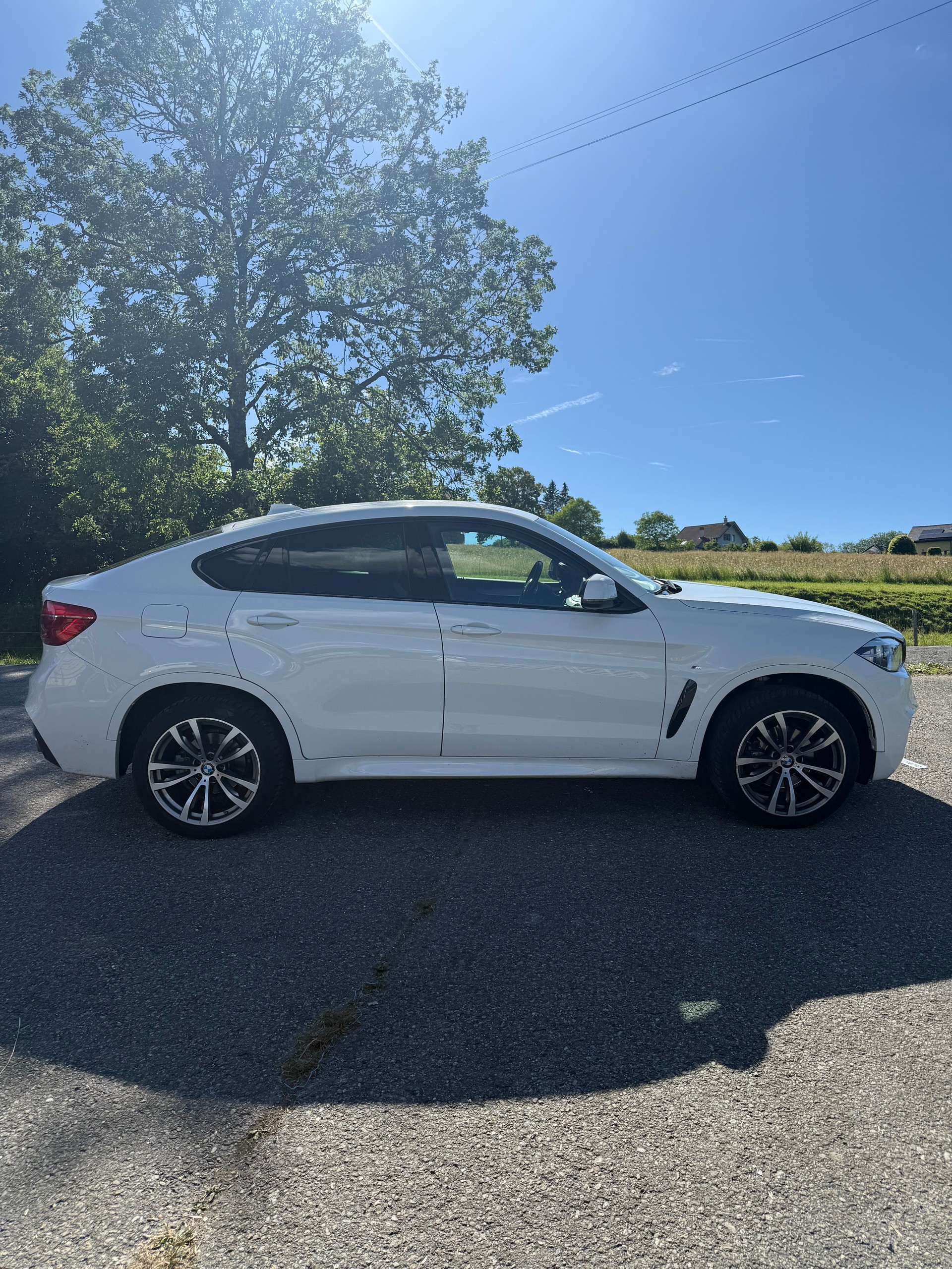 BMW X6 xDrive 30d Steptronic-image-7