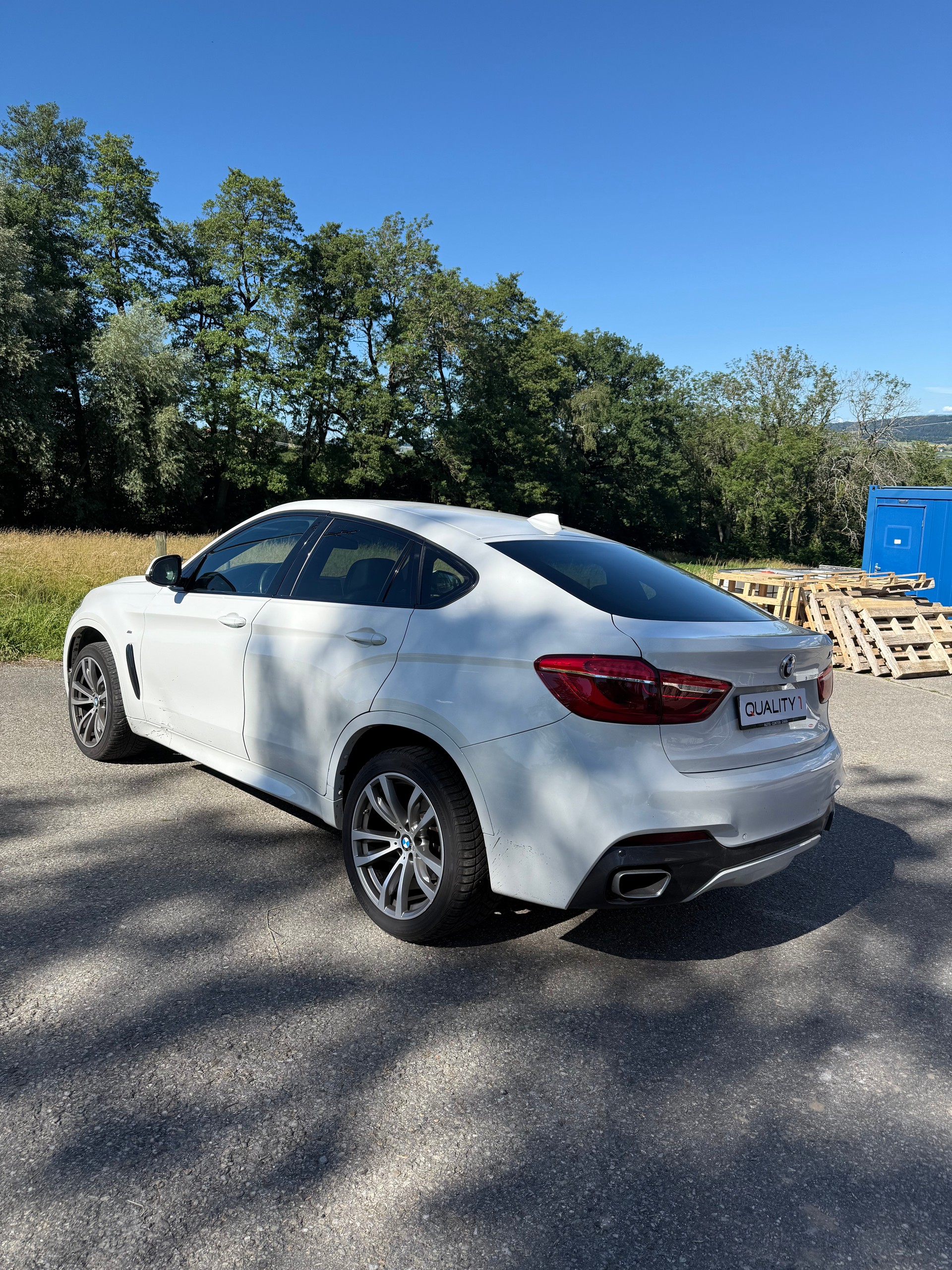 BMW X6 xDrive 30d Steptronic-image-10