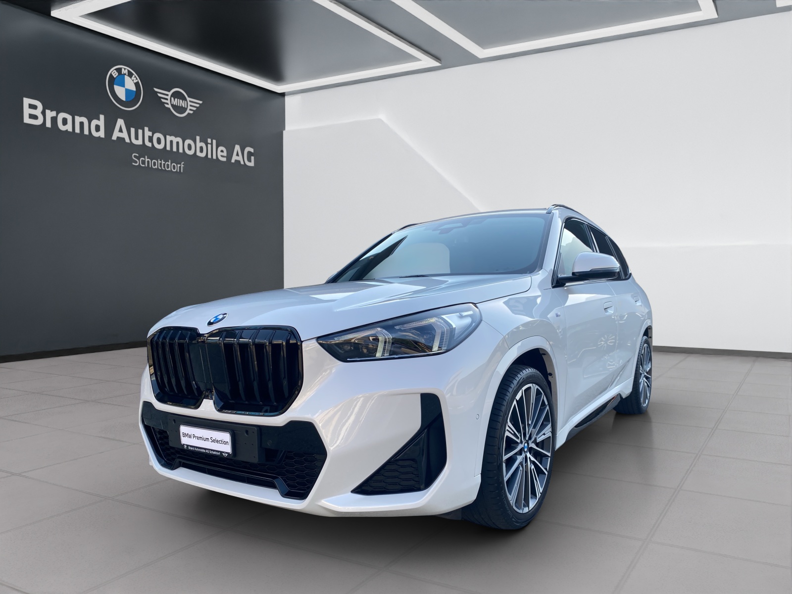BMW X1 23i xDrive paddles-image-0