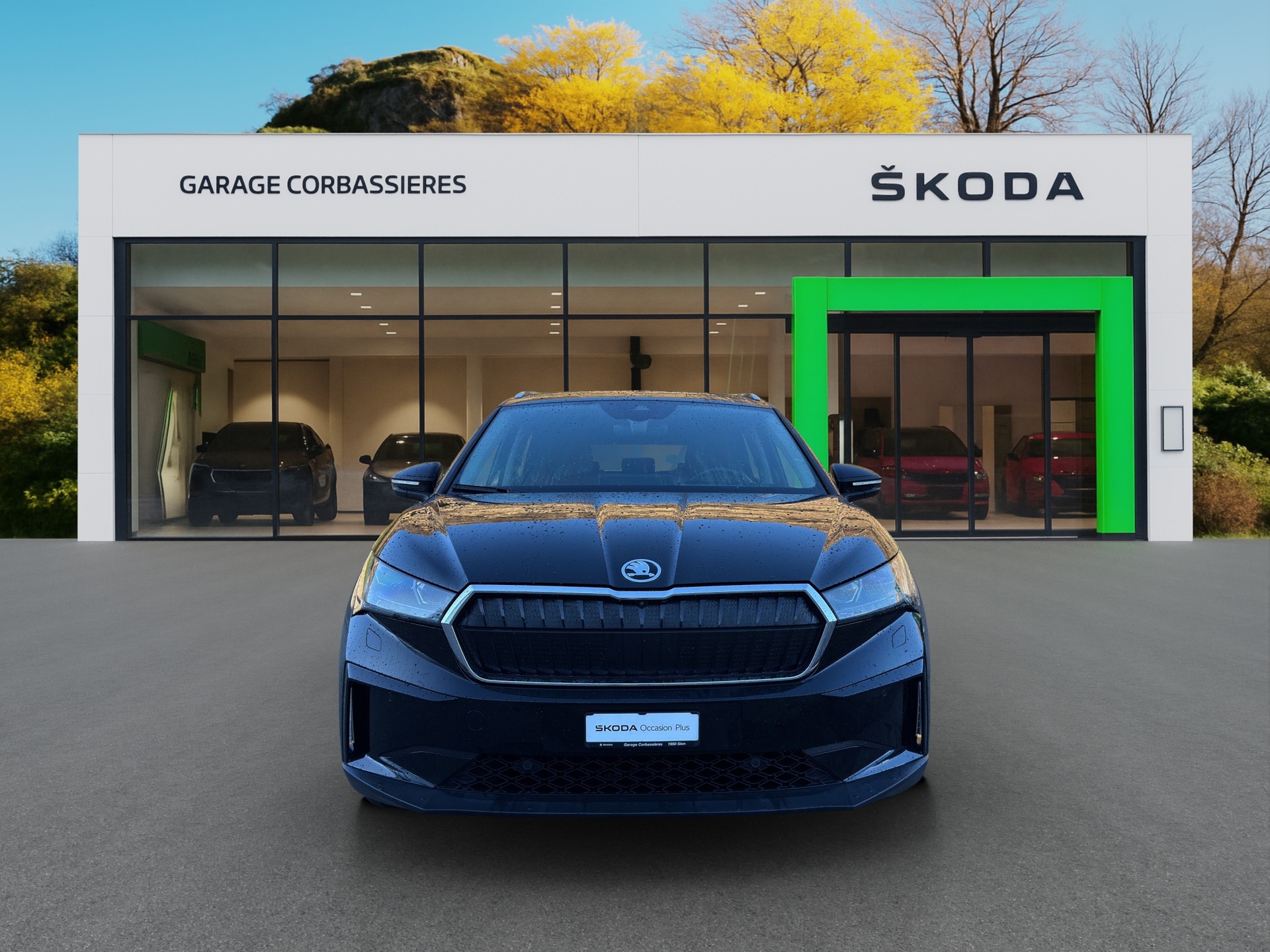 SKODA Enyaq iV 80x-image-0