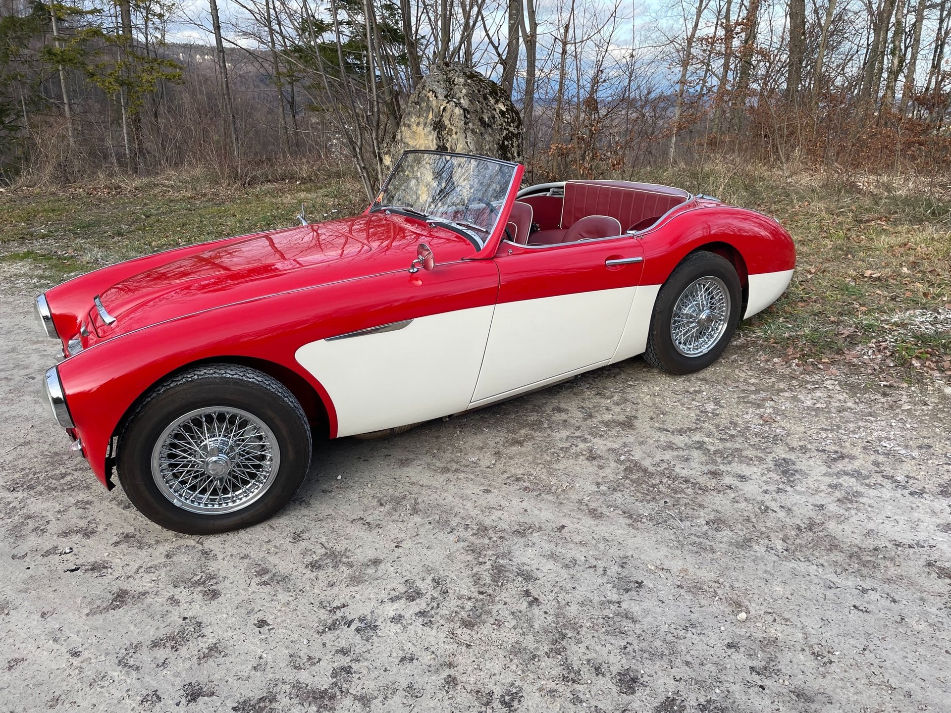 AUSTIN-HEALEY 3000