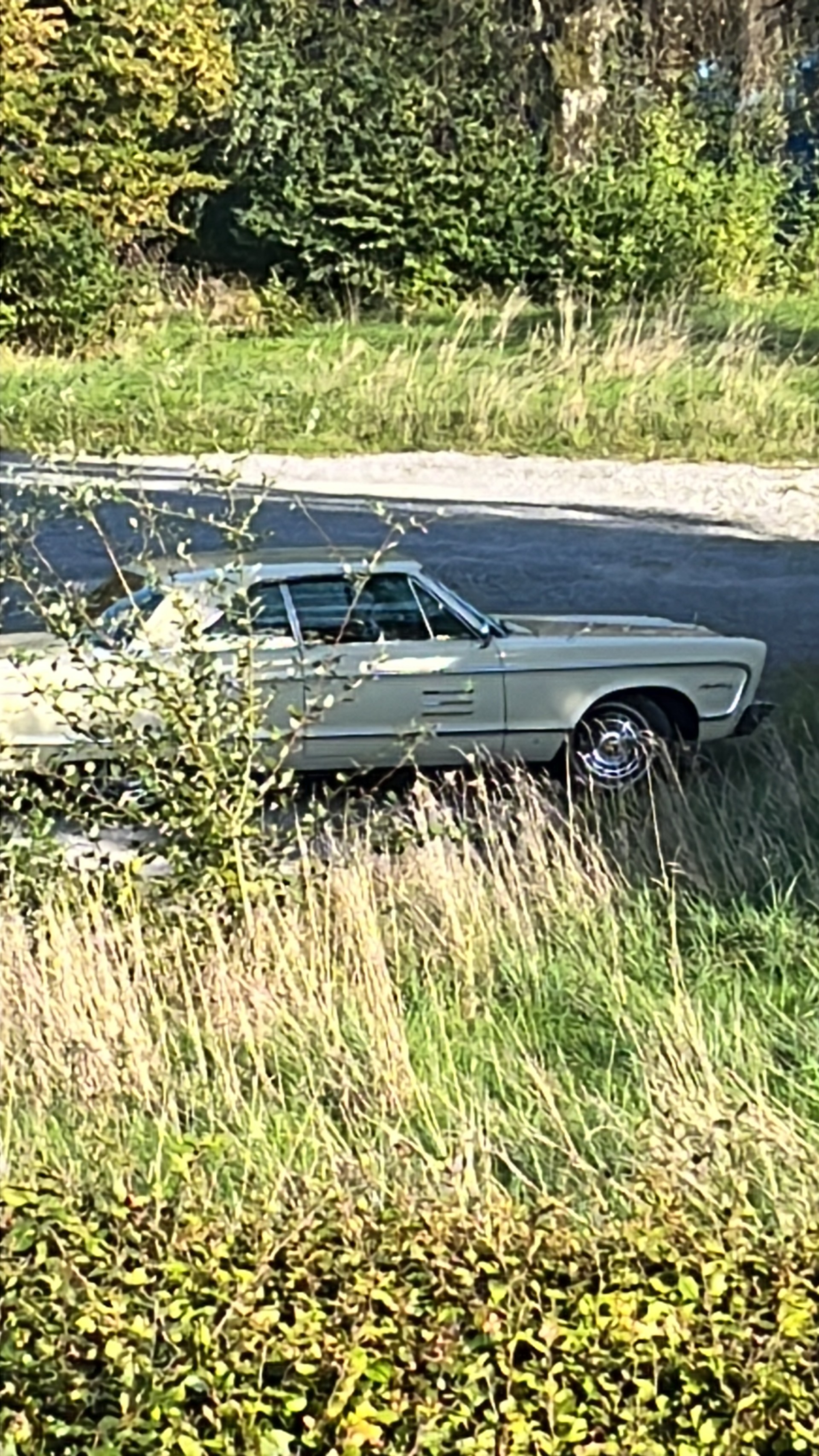 PLYMOUTH Sport Fury-image-16
