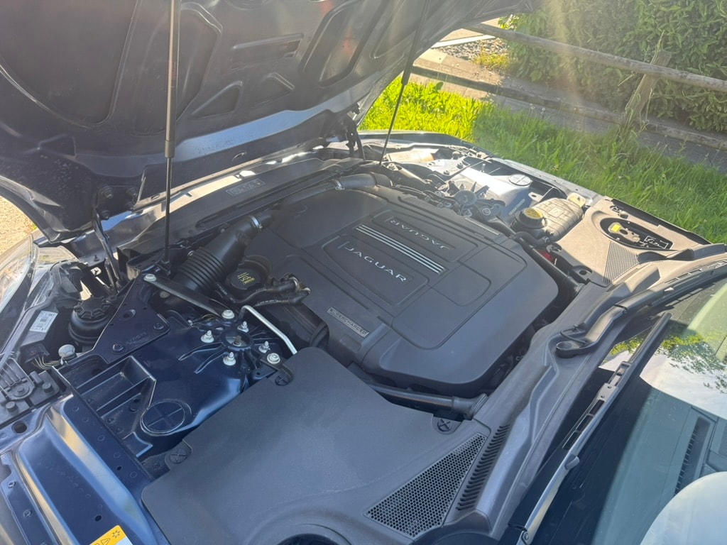 JAGUAR F-Type Convertible 3.0 V6 S/C-image-5
