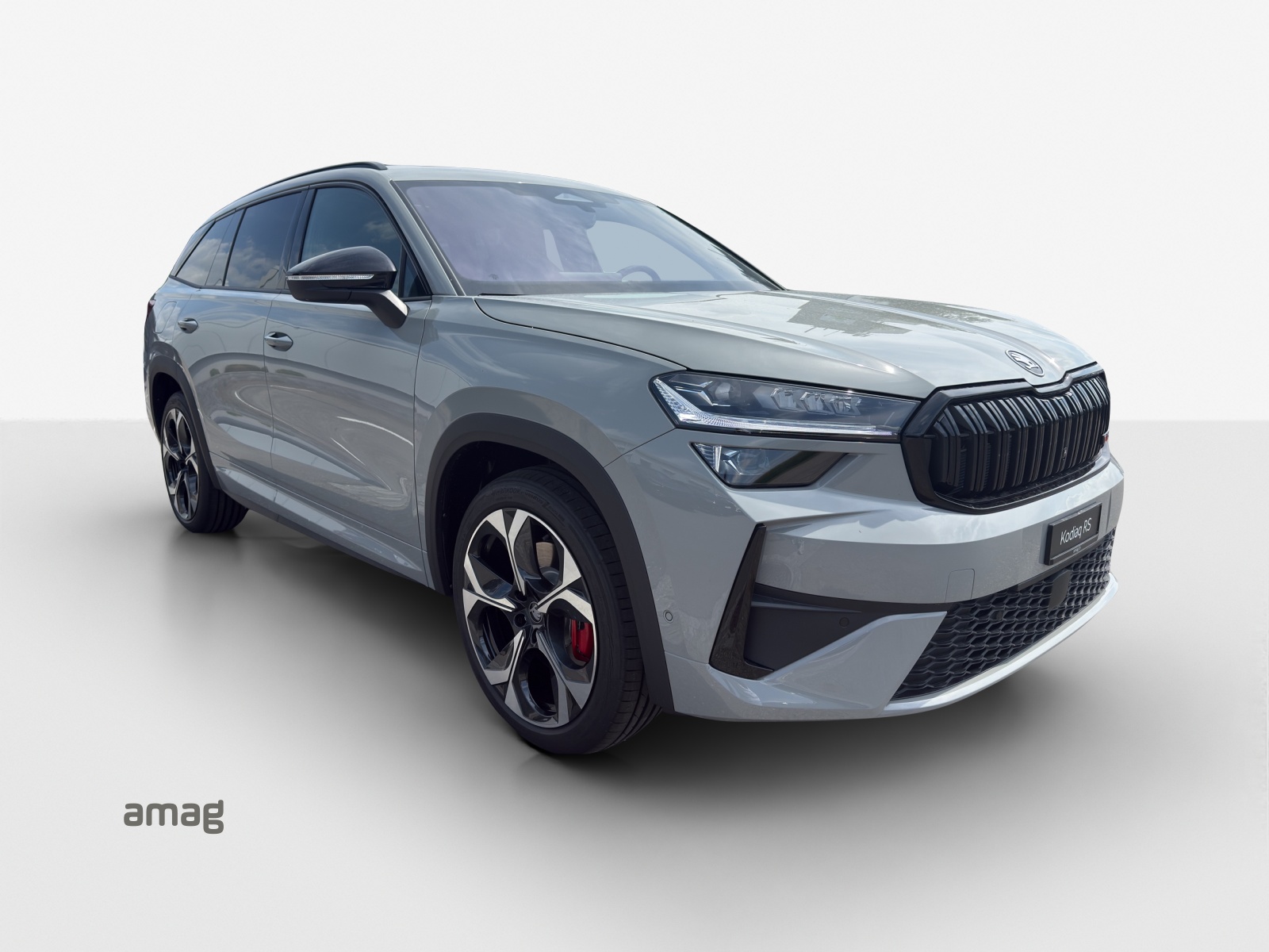 SKODA Skoda kodiaq RS-image-5
