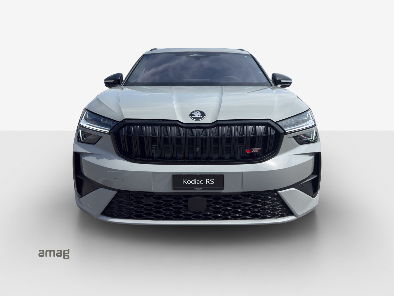 SKODA Skoda kodiaq RS-image-6