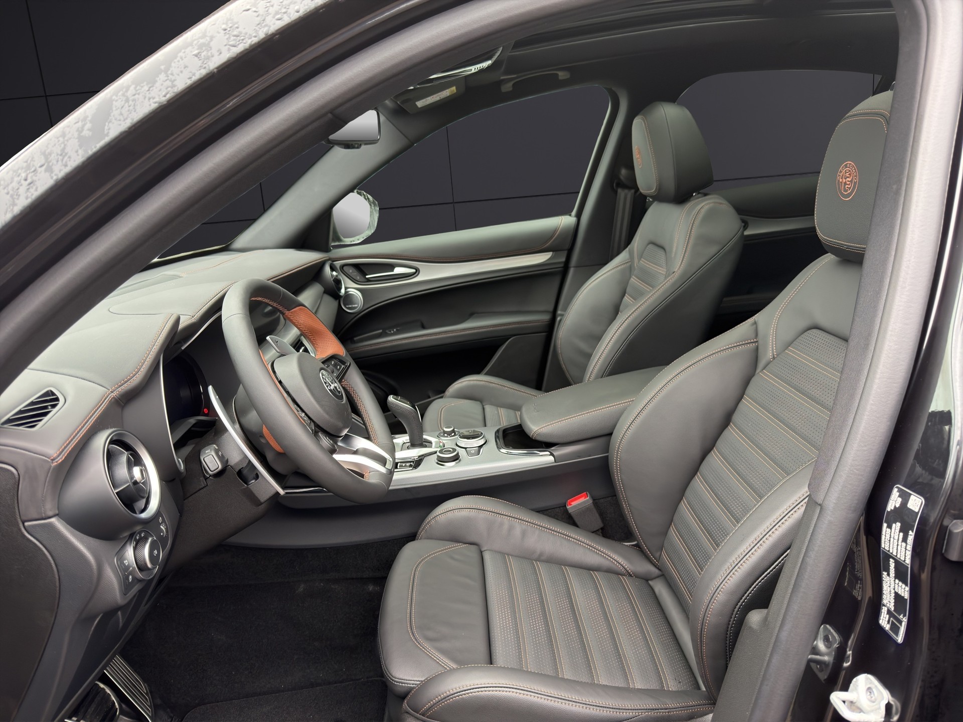 ALFA ROMEO Stelvio 2.0 Intensa Sky Q4 AT8-image-6