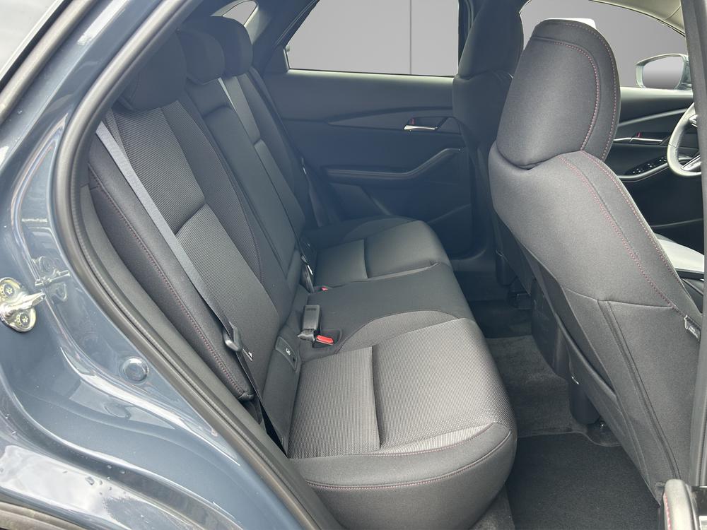 MAZDA CX-30 SKYACTIV-X 186 M Hybrid Homura FWD AT-image-12
