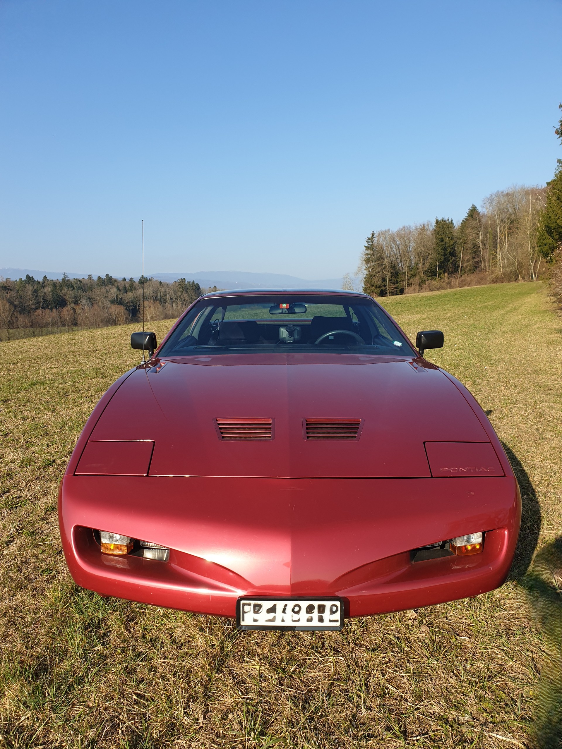 PONTIAC 5.0 V8 Trans Am-image-0