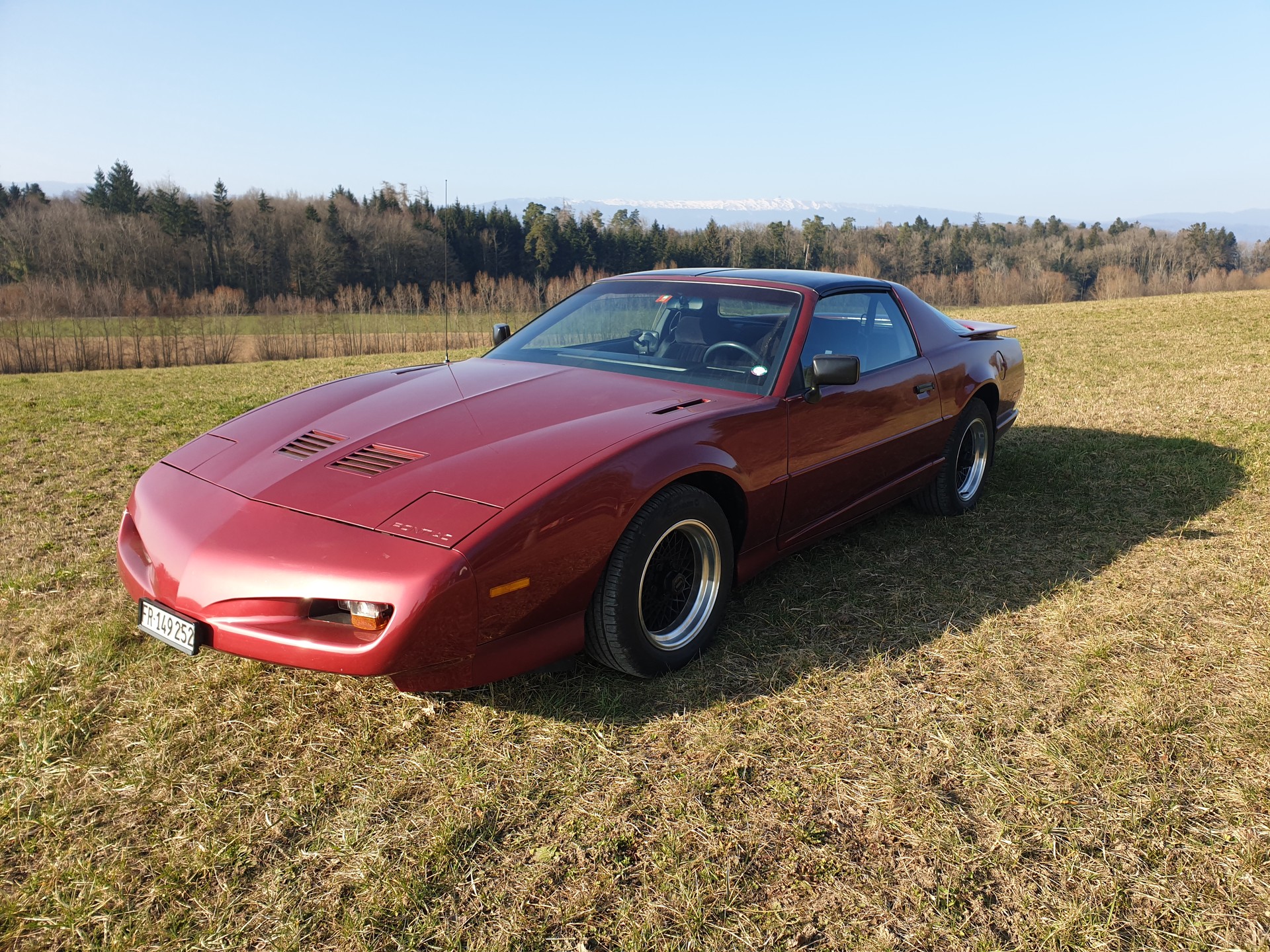 PONTIAC 5.0 V8 Trans Am-image-2