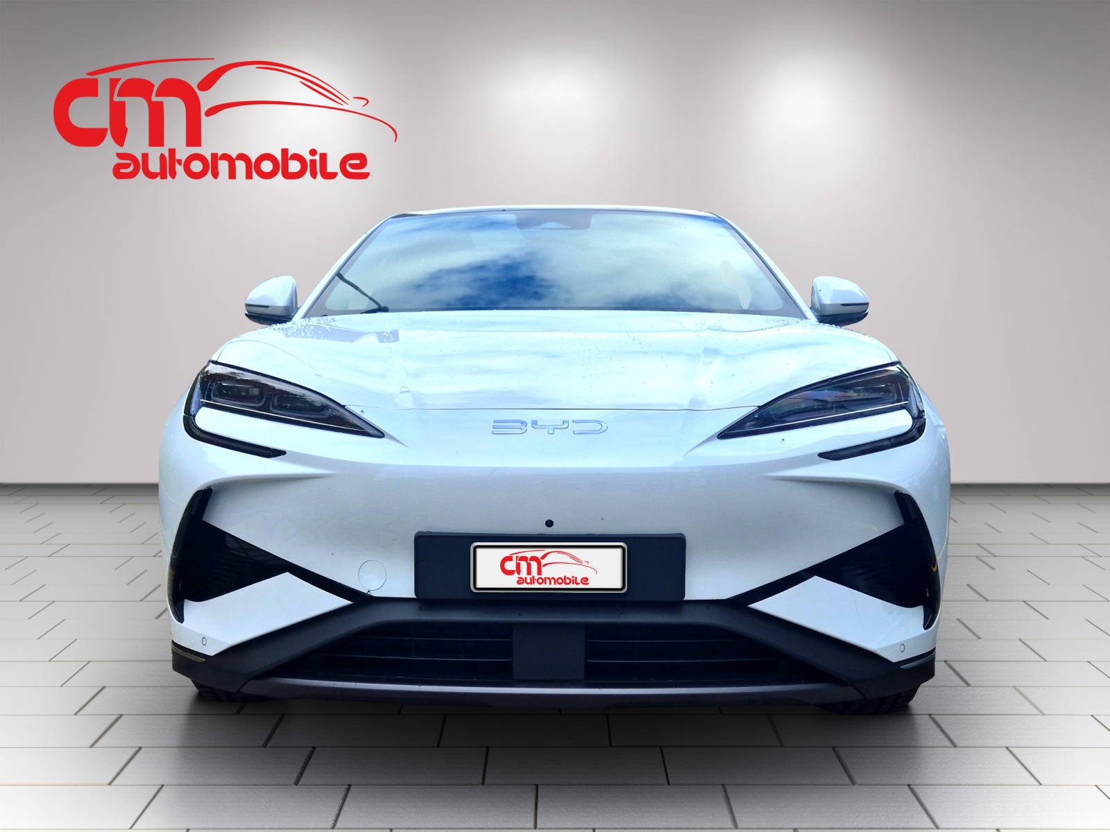 BYD Sealion 7 91,3 kWh Excellence AWD-image-7