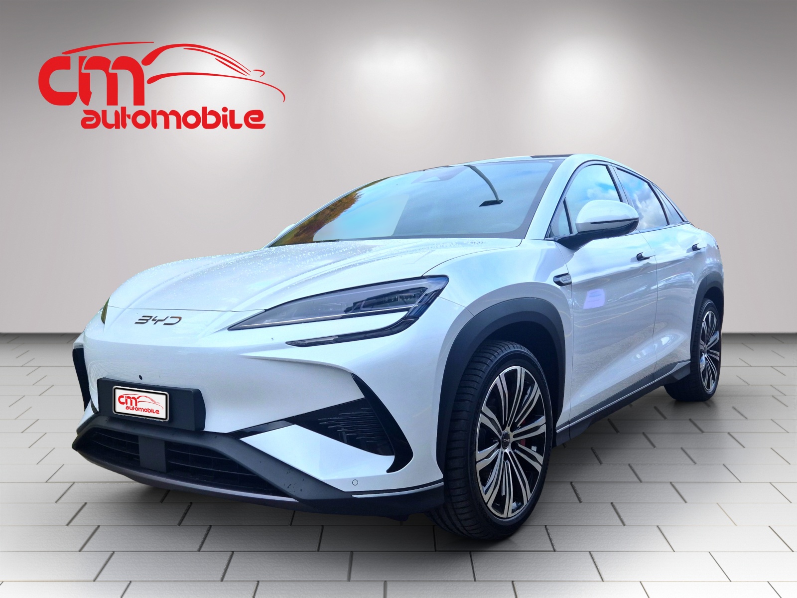 BYD Sealion 7 91,3 kWh Excellence AWD-image-0