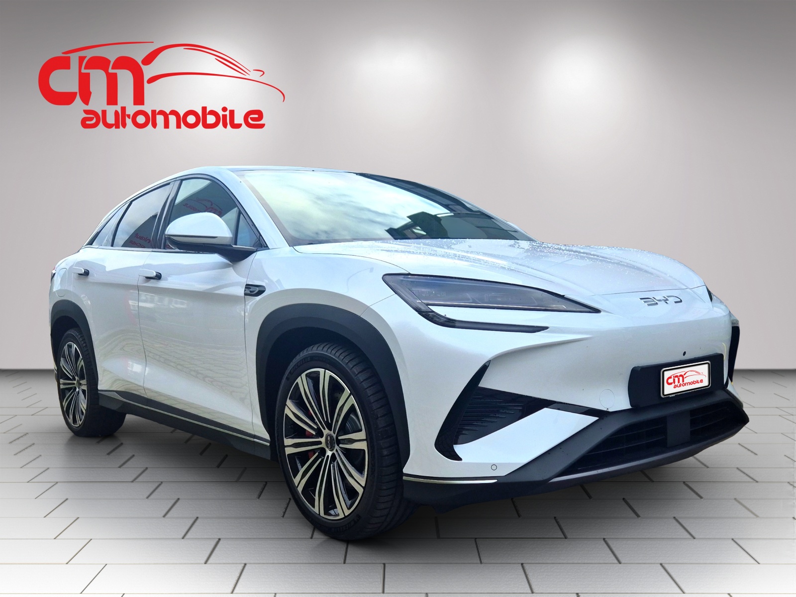 BYD Sealion 7 91,3 kWh Excellence AWD-image-3