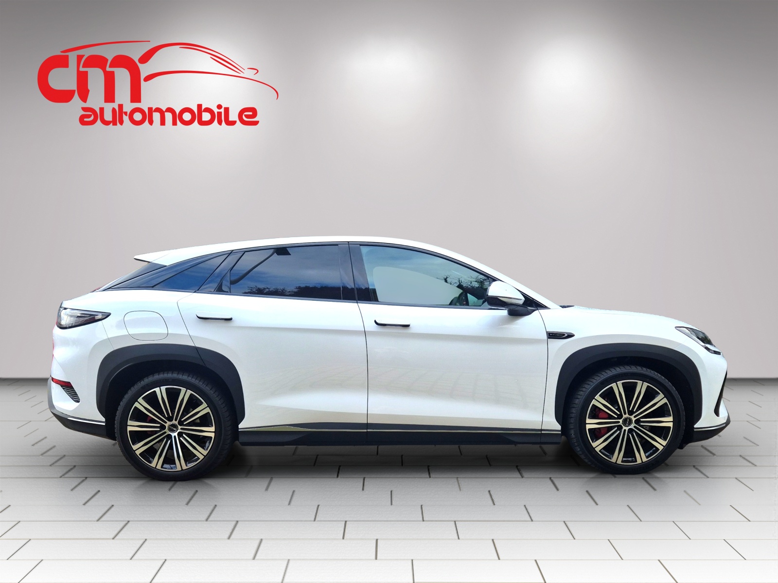 BYD Sealion 7 91,3 kWh Excellence AWD-image-4