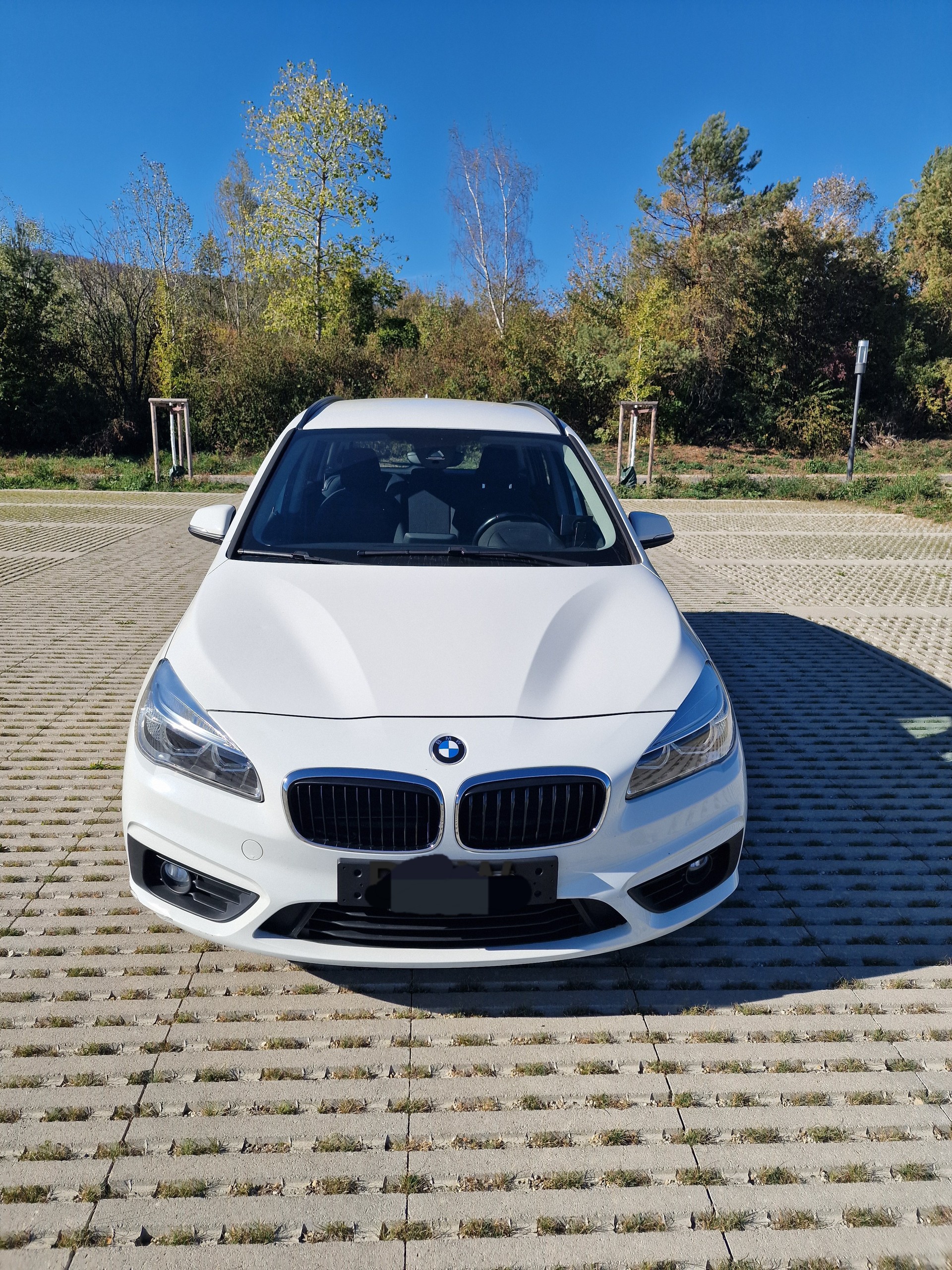 BMW 218d Grand Tourer Steptronic 7 Sitze-image-1