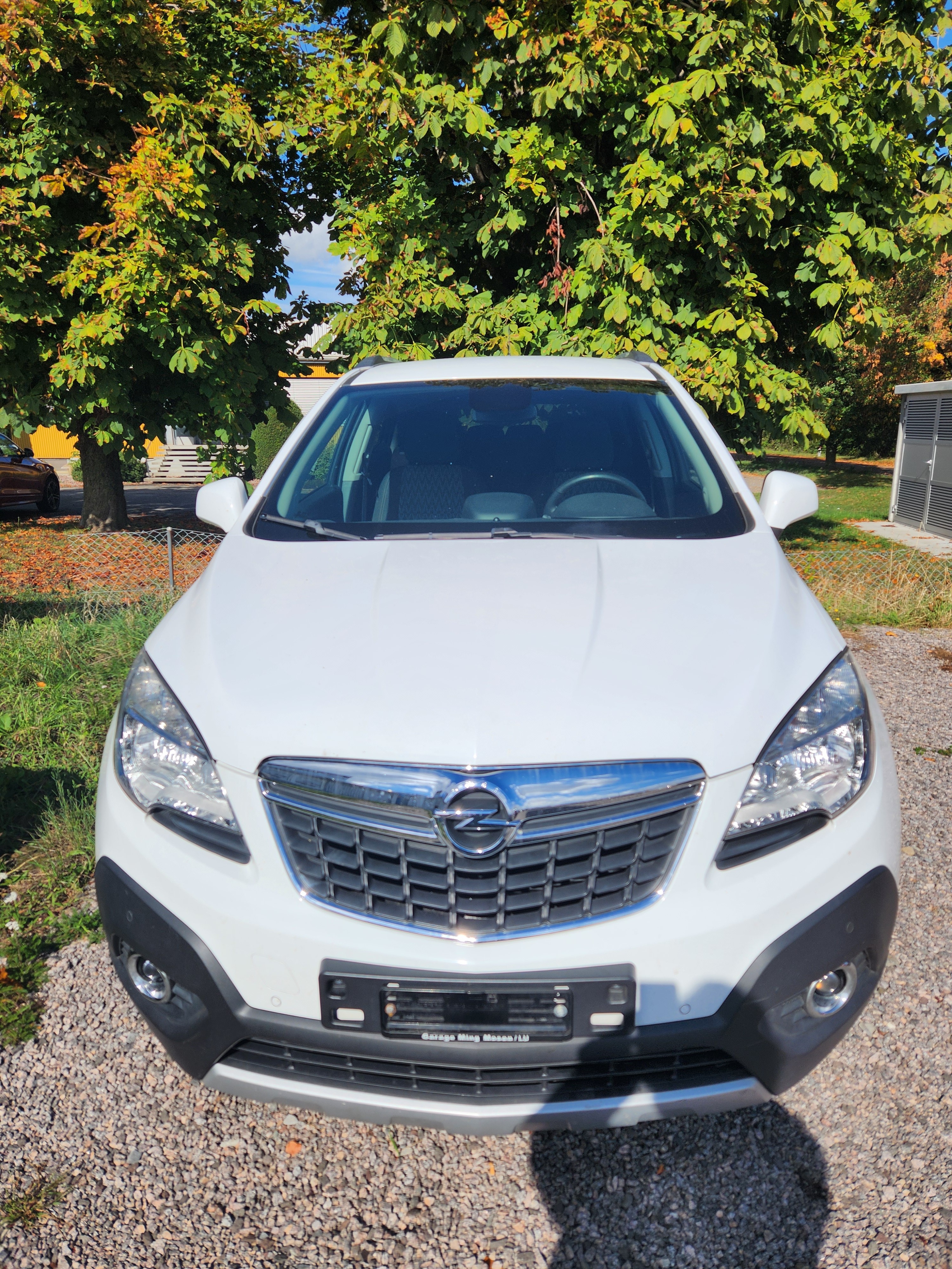 Car photo