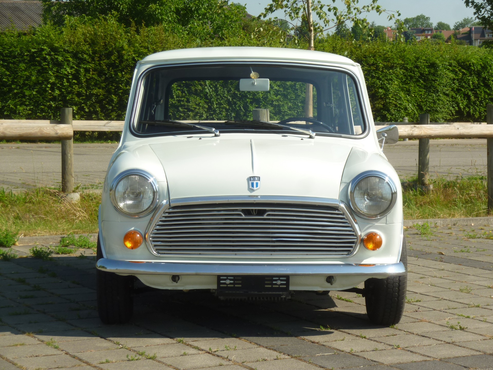 MINI MINI 1000-image-2