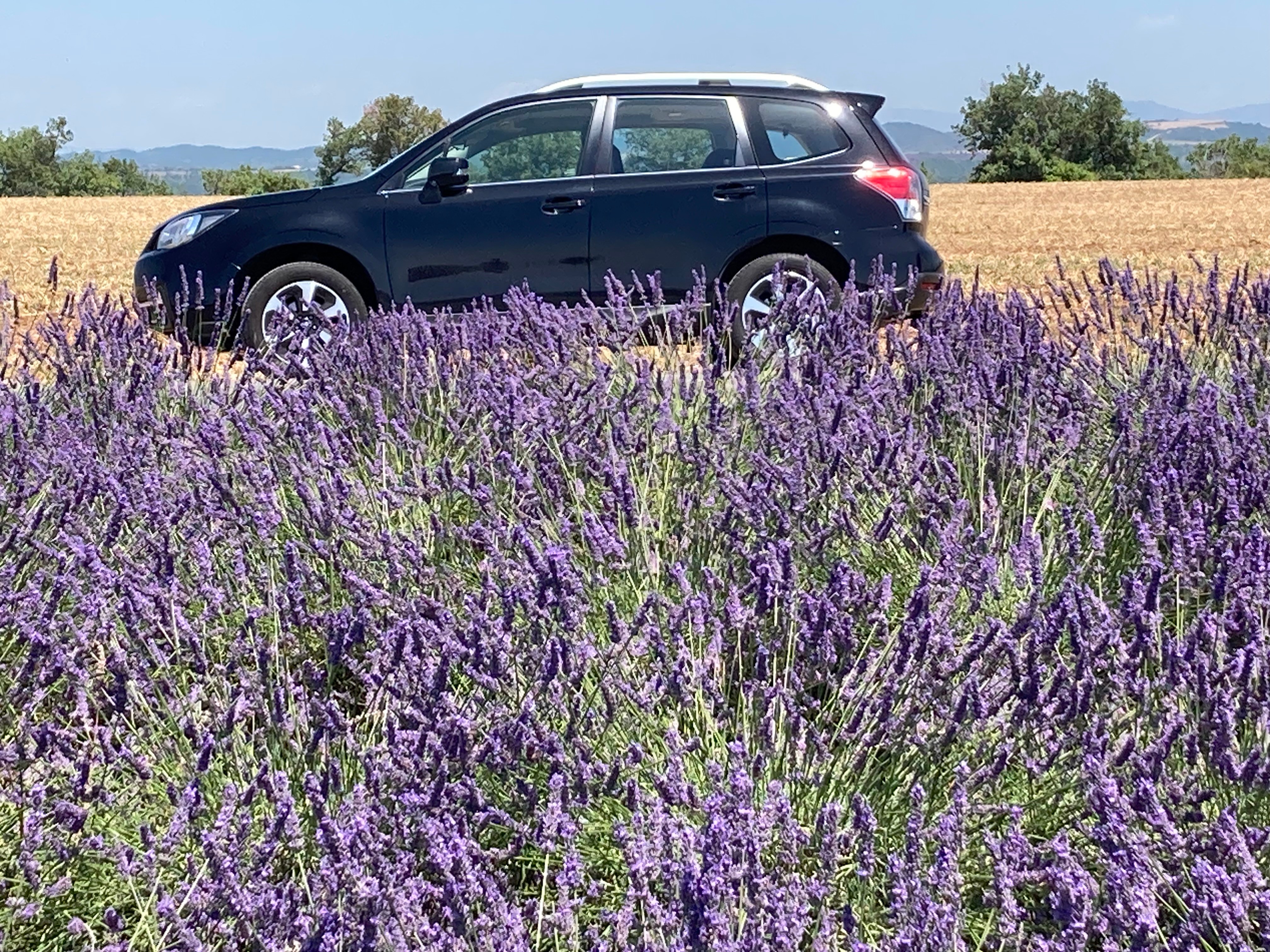 Car photo