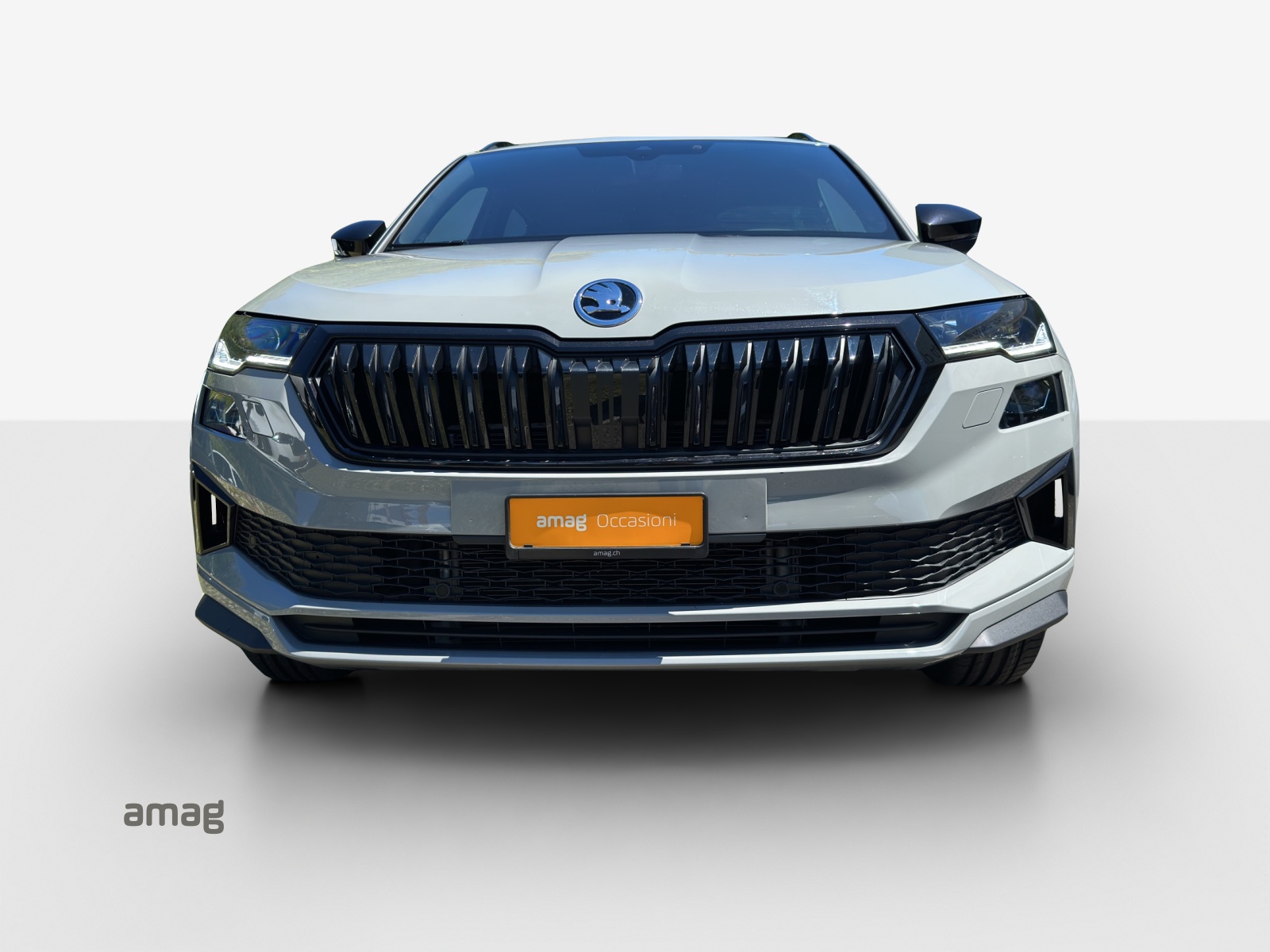 SKODA Karoq 1.5 TSI SportLine DSG-image-6