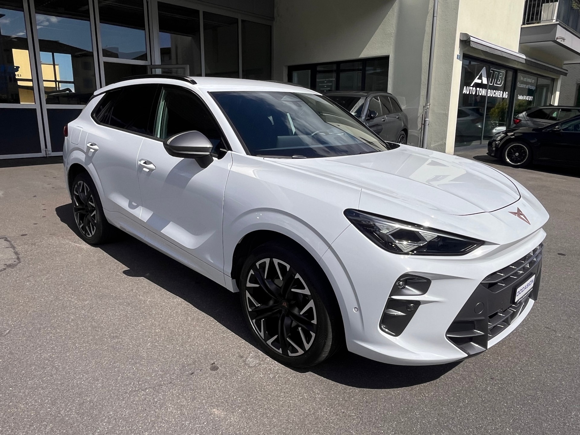 CUPRA Terramar 2.0 TSI DSG 4Drive VZ-image-2
