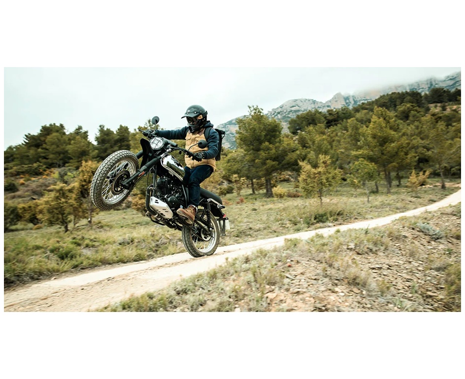 BRIXTON FELSBERG 125 XC CBS-image-11