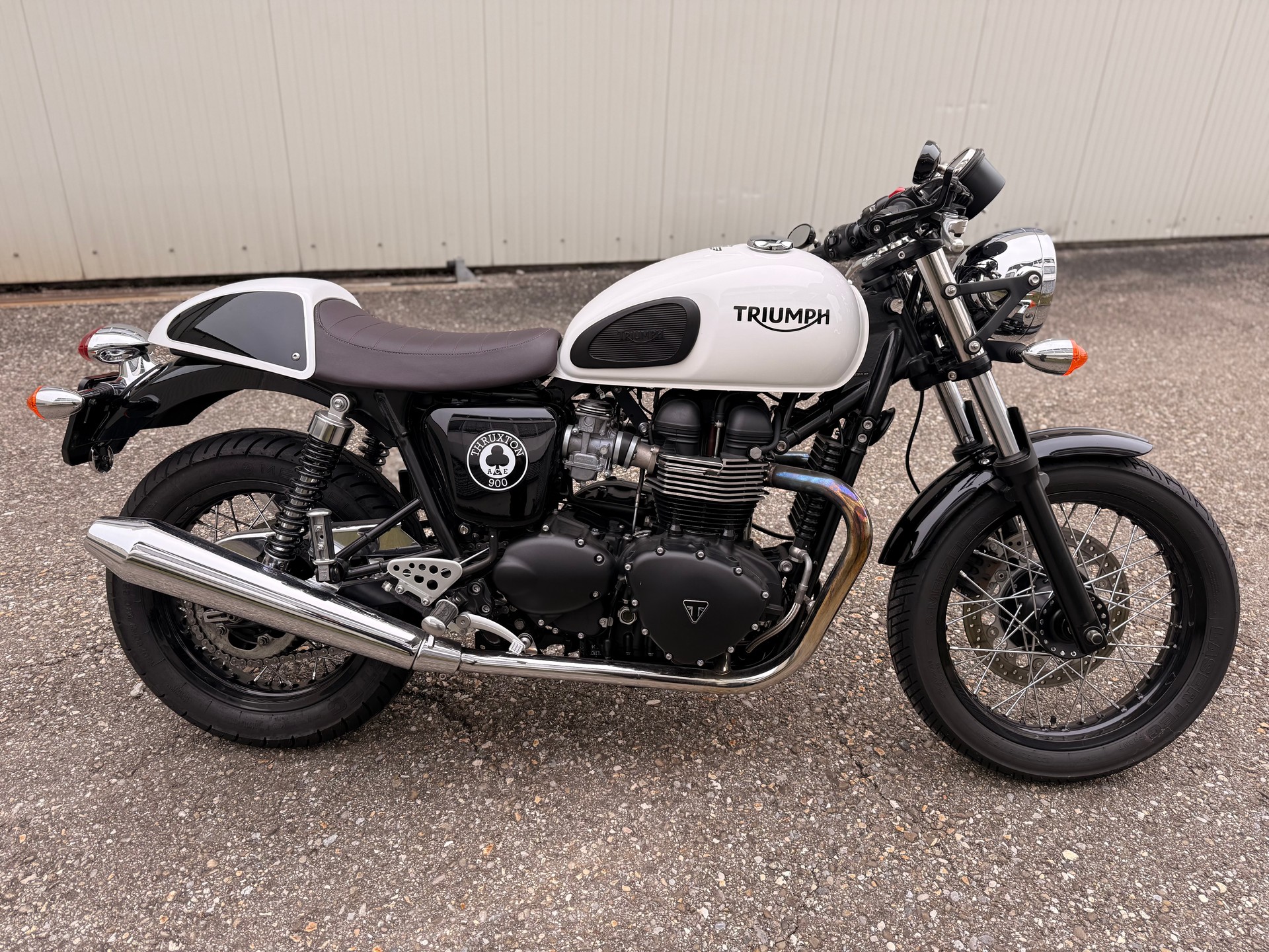 TRIUMPH Thruxton 900 i ACE