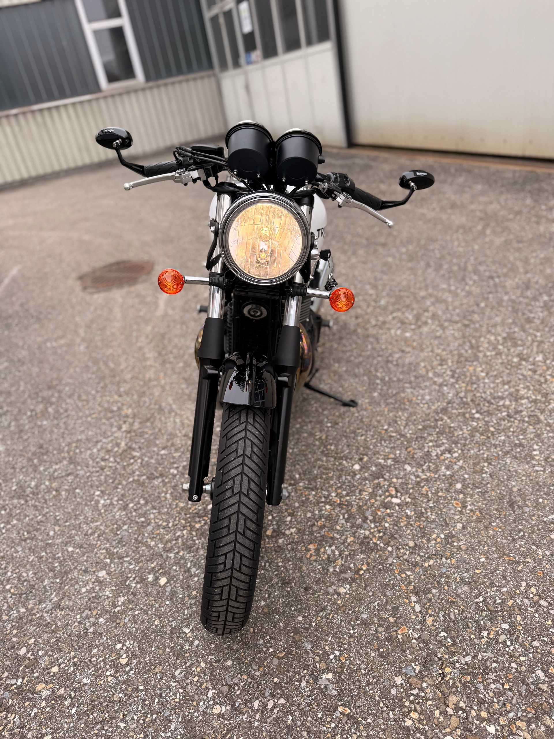 TRIUMPH Thruxton 900 i ACE-image-5