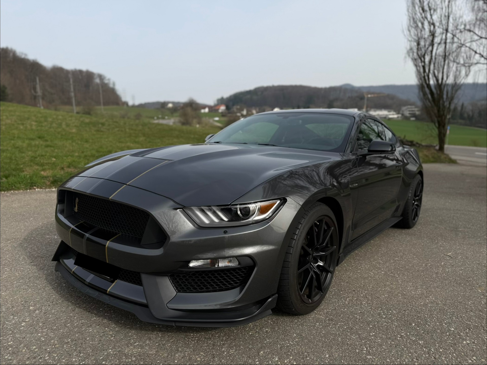 FORD Shelby GT350