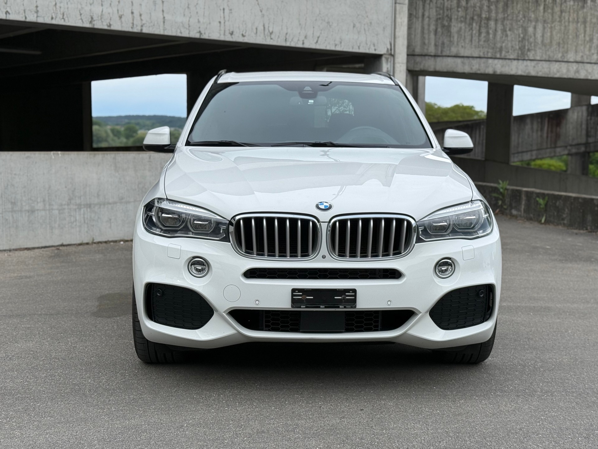 BMW X5 xDrive 40d Steptronic-showroom-element-1