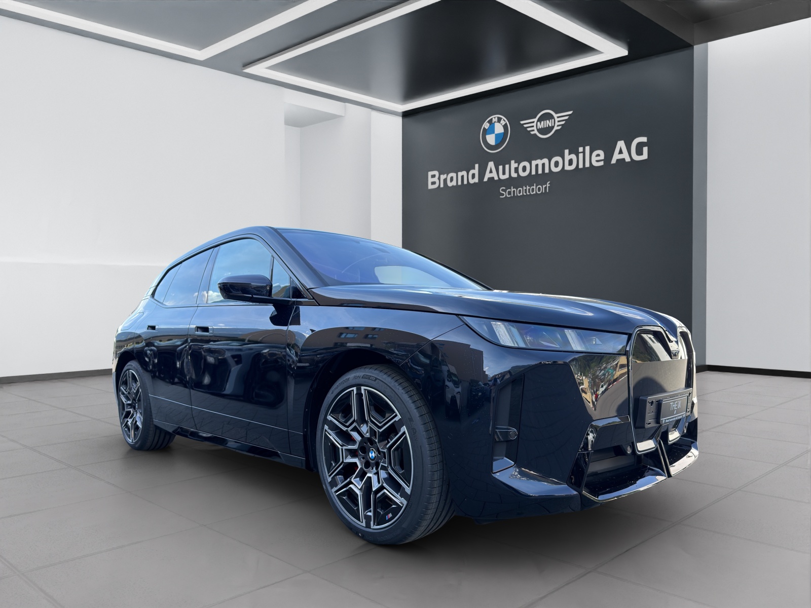 BMW iX xDrive60-image-6