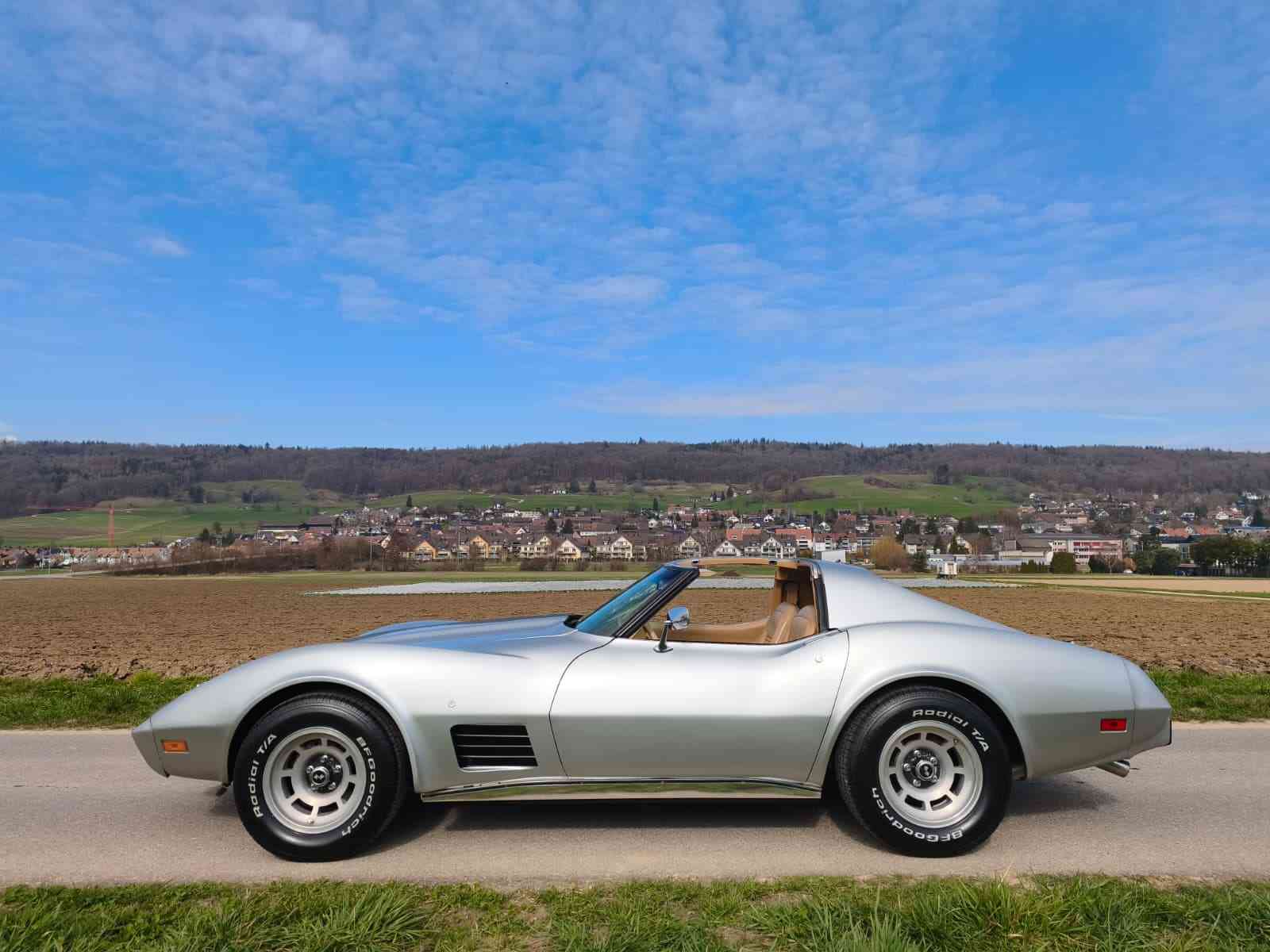 CHEVROLET Corvette C3 Targa-image-2