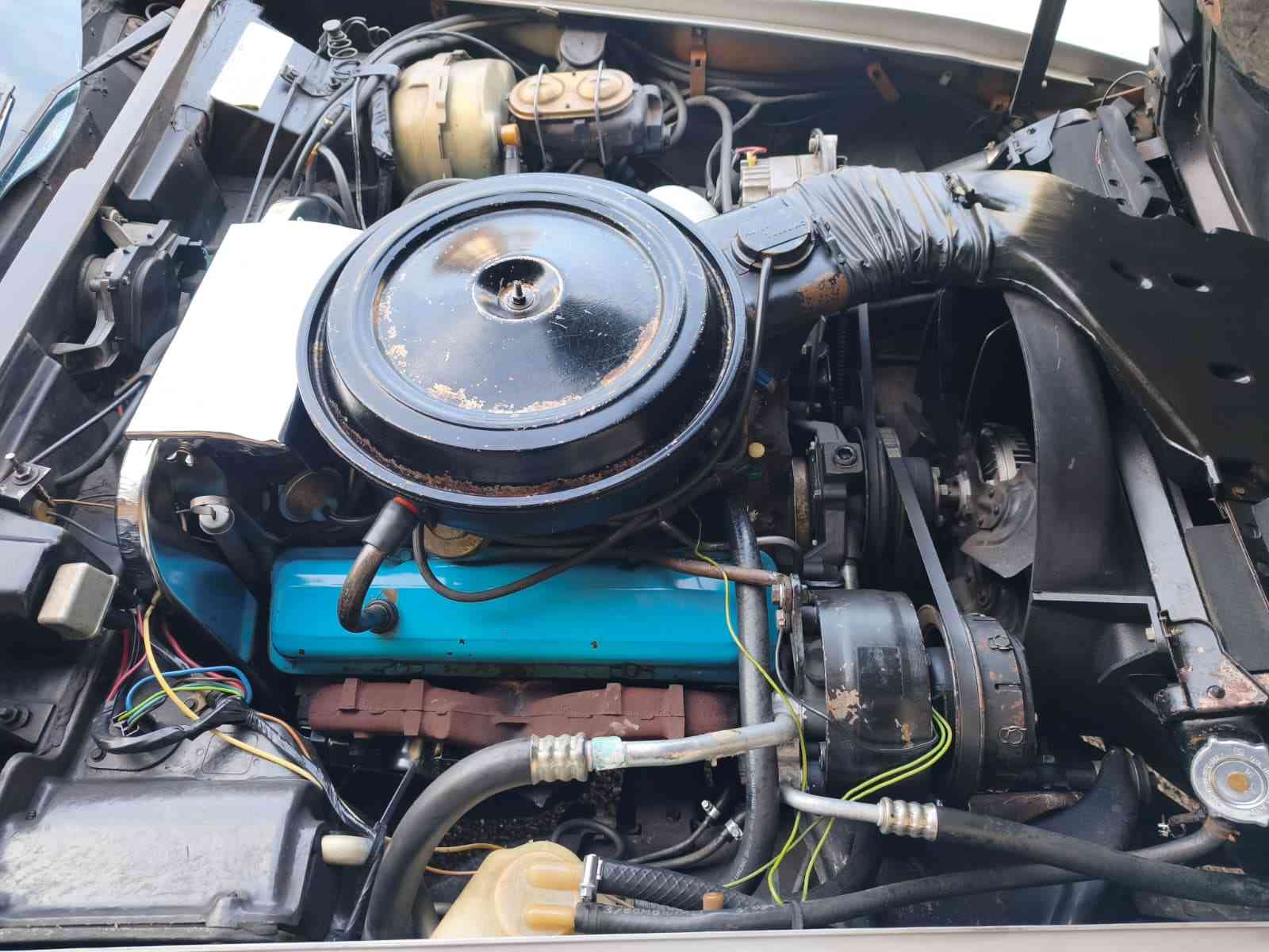 CHEVROLET Corvette C3 Targa-image-12