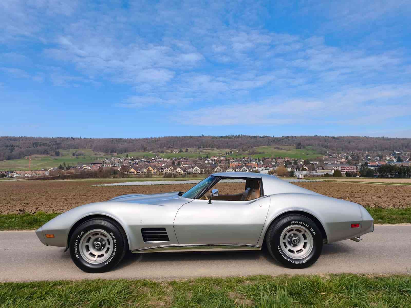 CHEVROLET Corvette C3 Targa-image-3