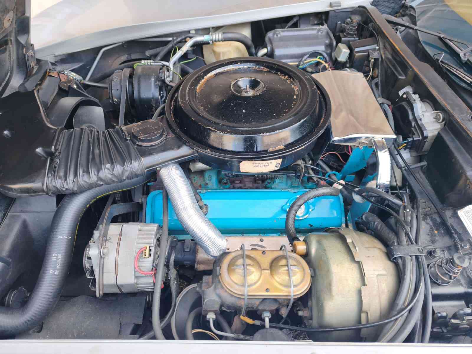 CHEVROLET Corvette C3 Targa-image-11