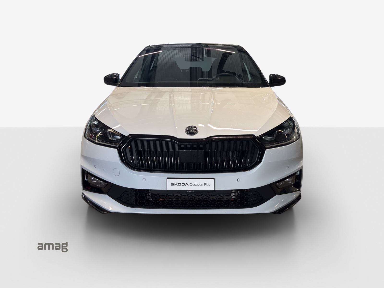 SKODA Fabia 1.5 TSI Monte Carlo DSG-image-6
