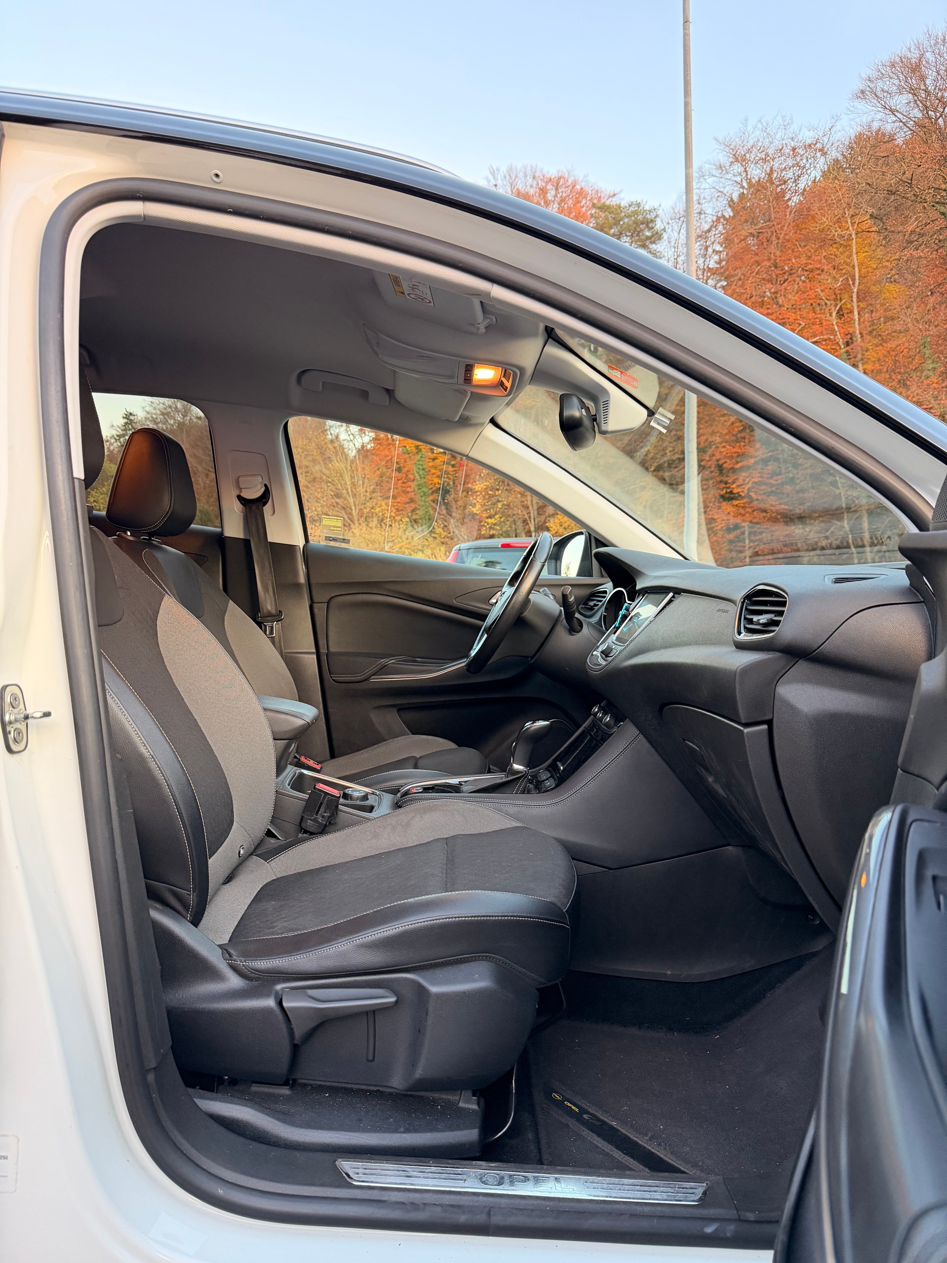 OPEL Grandland X 1.6CDTi Excellence Automatik-image-10