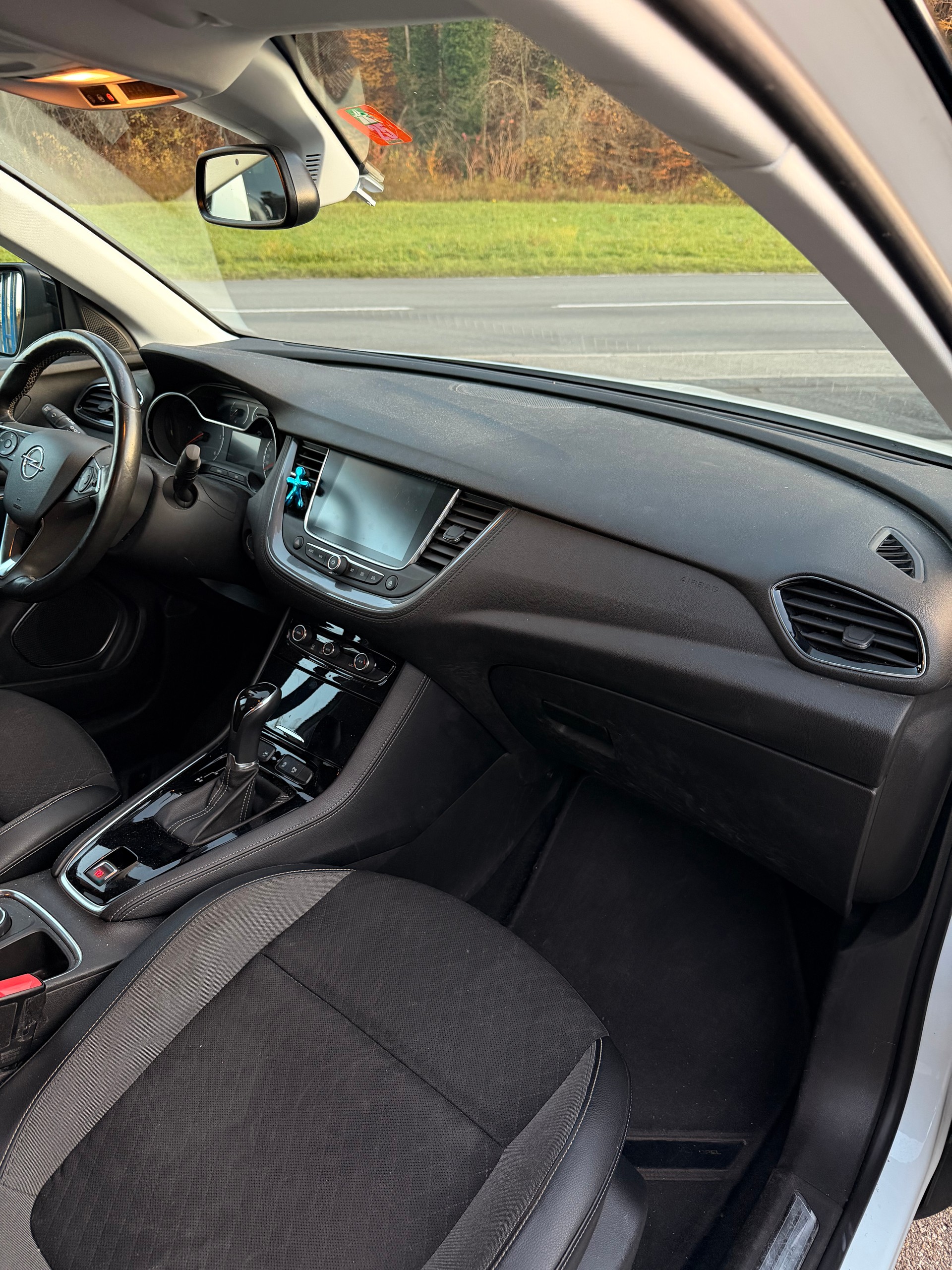 OPEL Grandland X 1.6CDTi Excellence Automatik-image-9