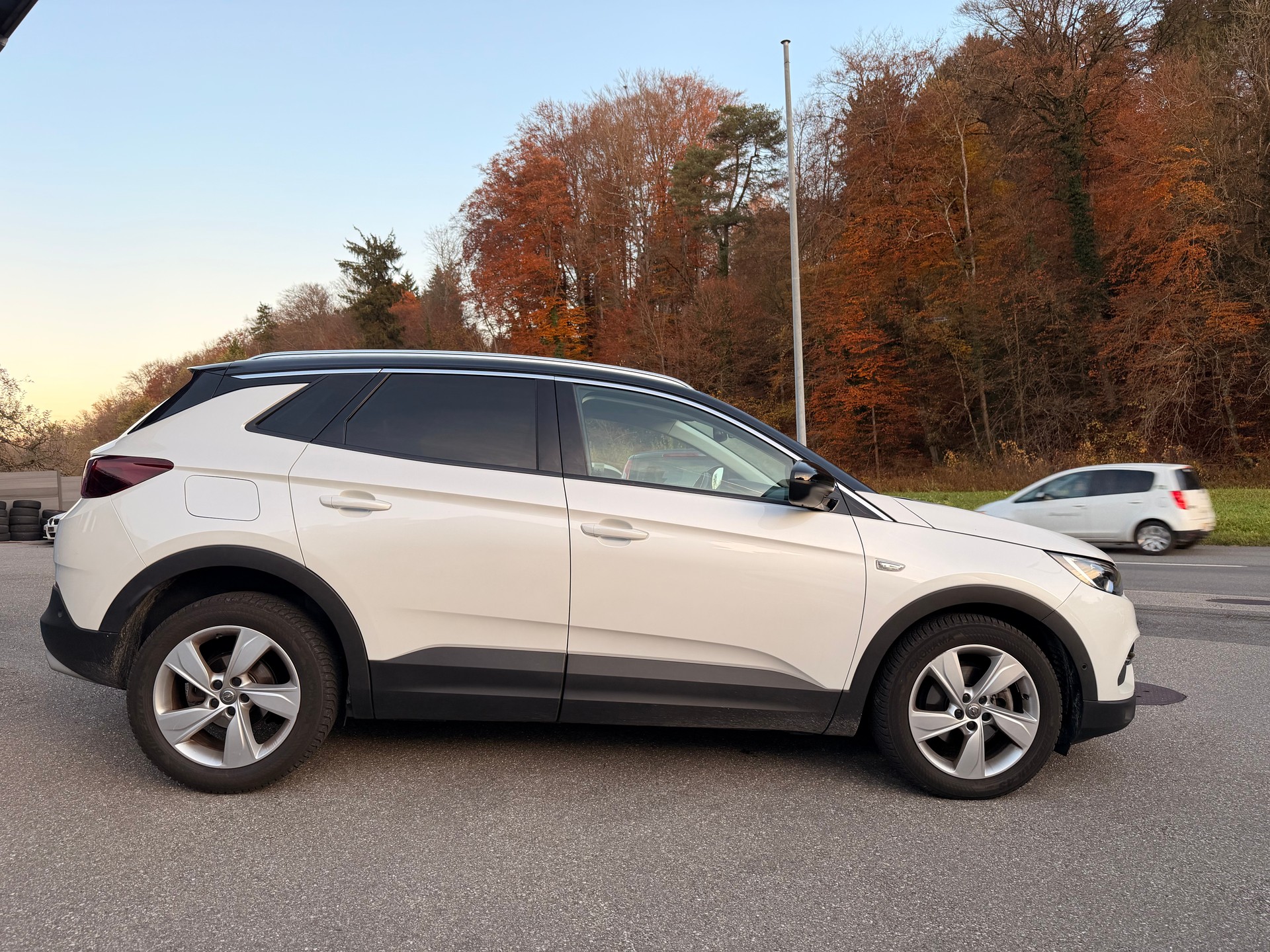 OPEL Grandland X 1.6CDTi Excellence Automatik-image-2