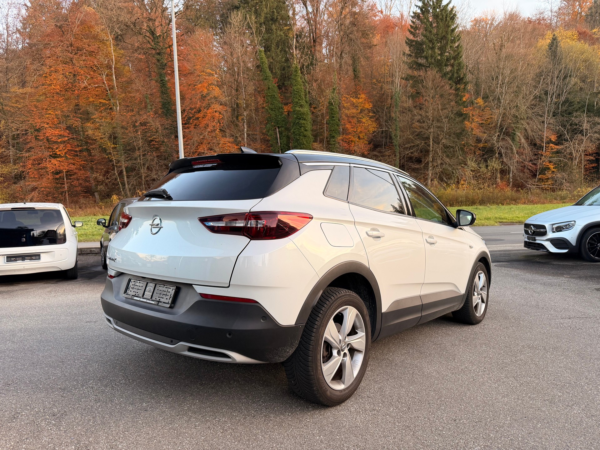 OPEL Grandland X 1.6CDTi Excellence Automatik-image-3